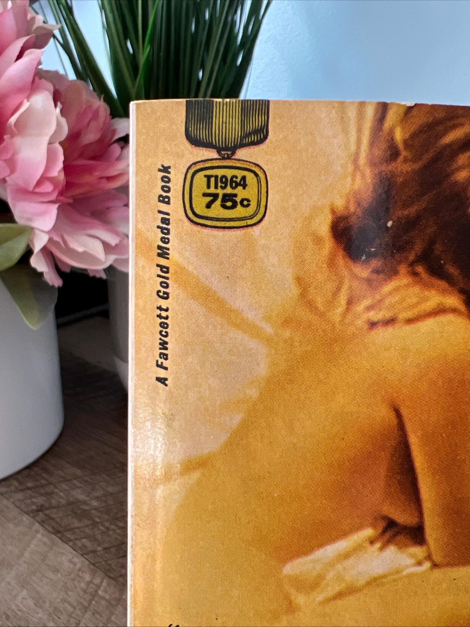 Before I Wake by David Dury ( 1968 Fawcett Gold Medal Paperback) Romace Novel