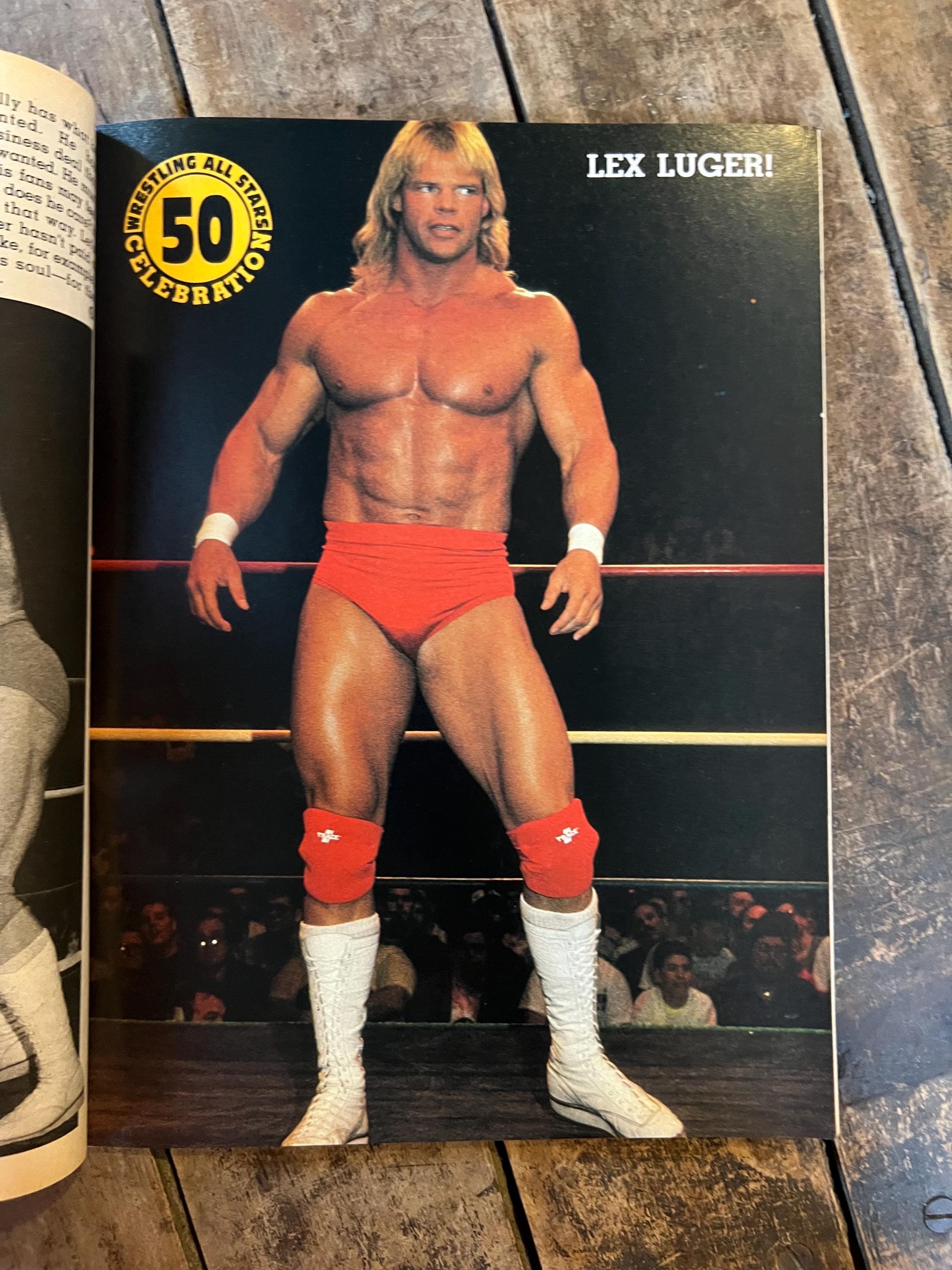 Wrestling All Stars Magazine - December 1991 WWF WWE - 50th Issue Collector’s Edition