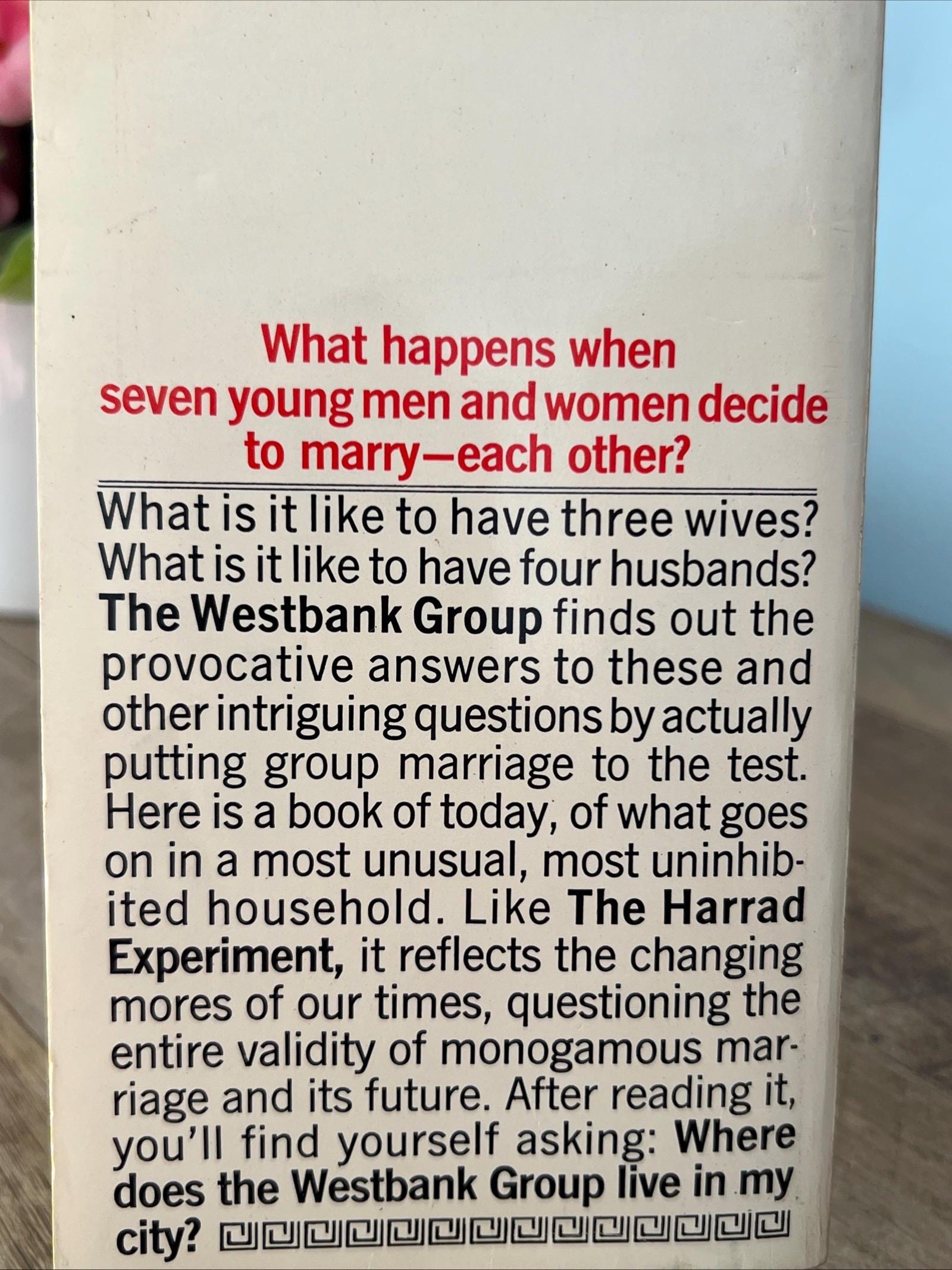 The West Bank Group by Henry Sackerman ( 1971 Bantam Books Paperback) Romance Novel