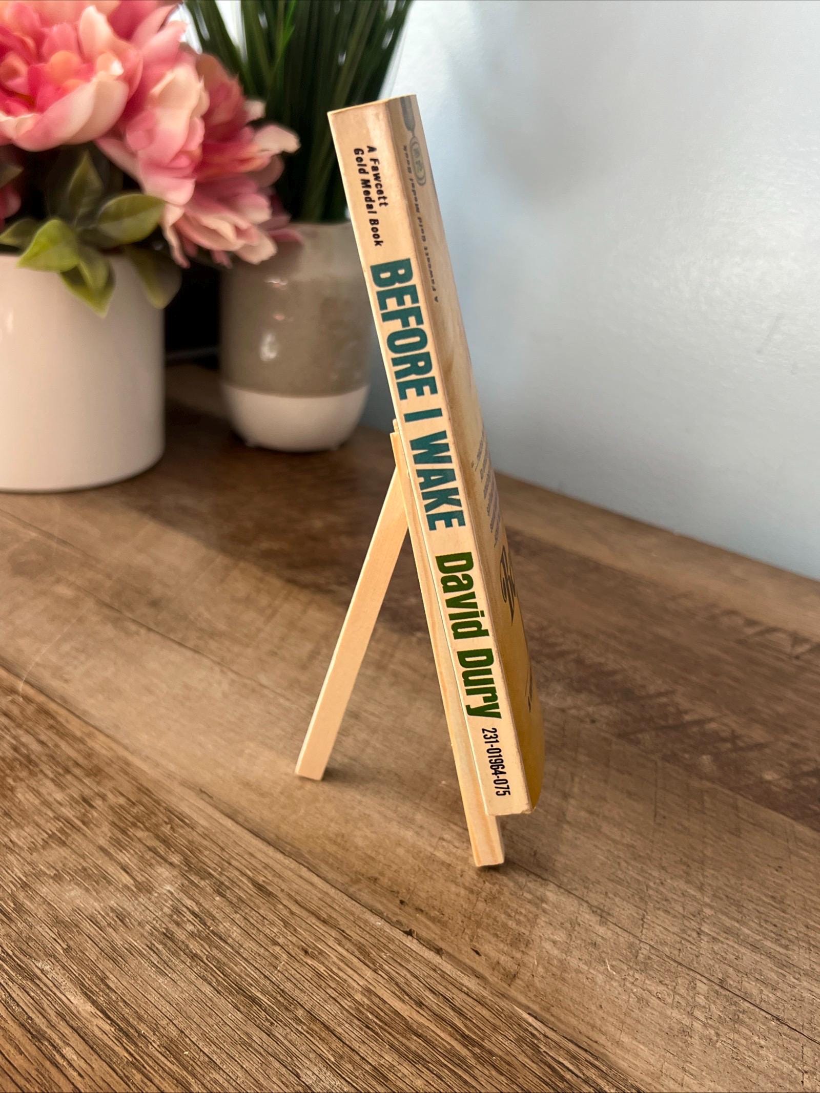 Before I Wake by David Dury ( 1968 Fawcett Gold Medal Paperback) Romace Novel