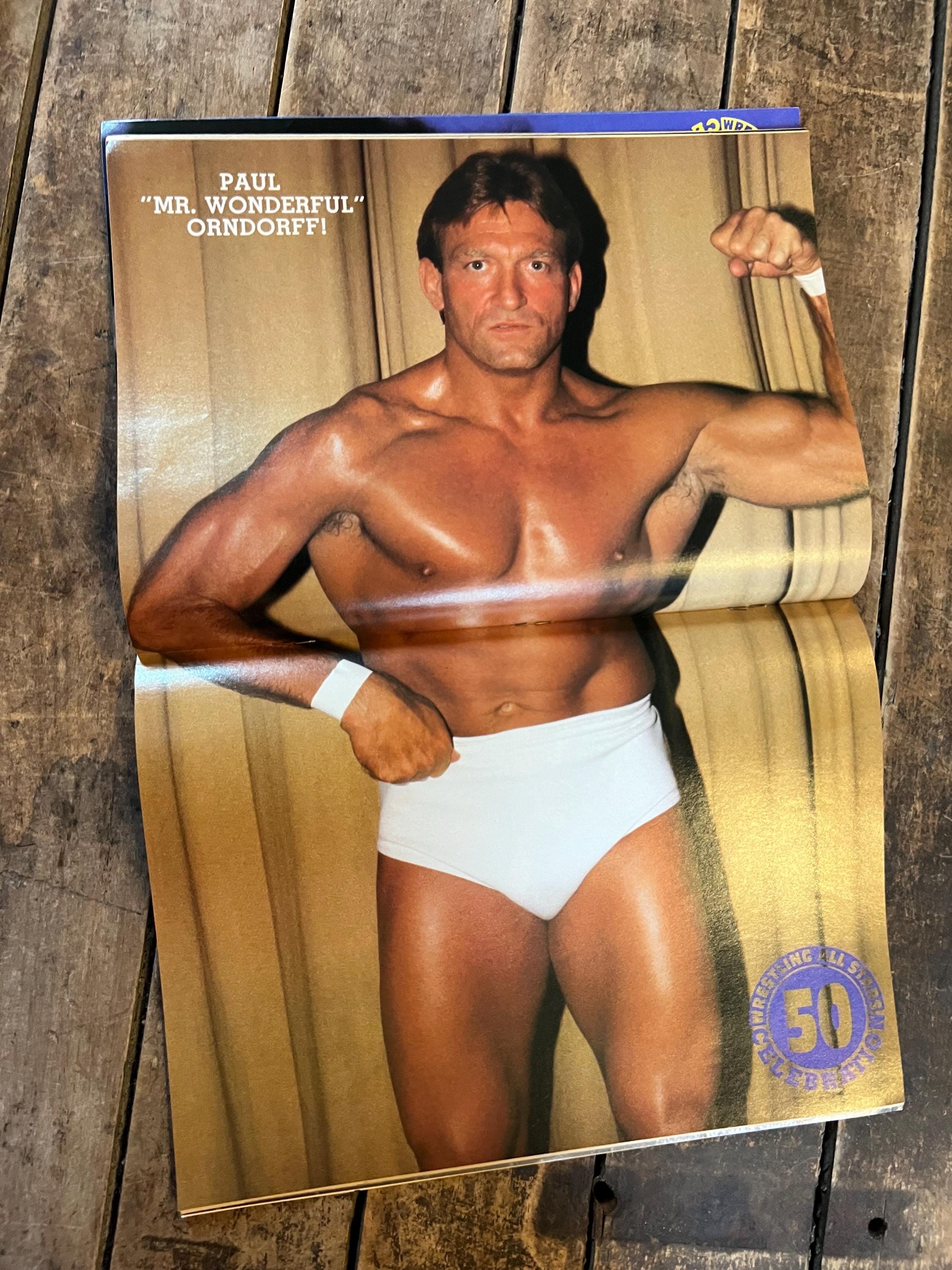 Wrestling All Stars Magazine - December 1991 WWF WWE - 50th Issue Collector’s Edition