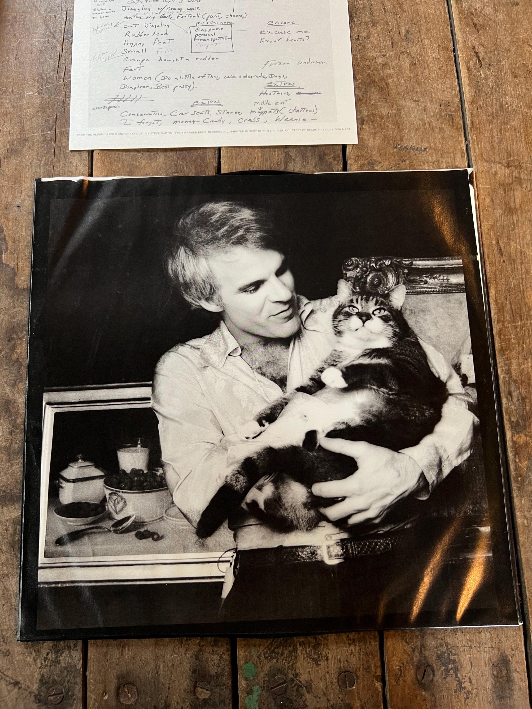 Steve Martin - Wild and Crazy Guy LP - 1978 Warner Bros. Vinyl Record