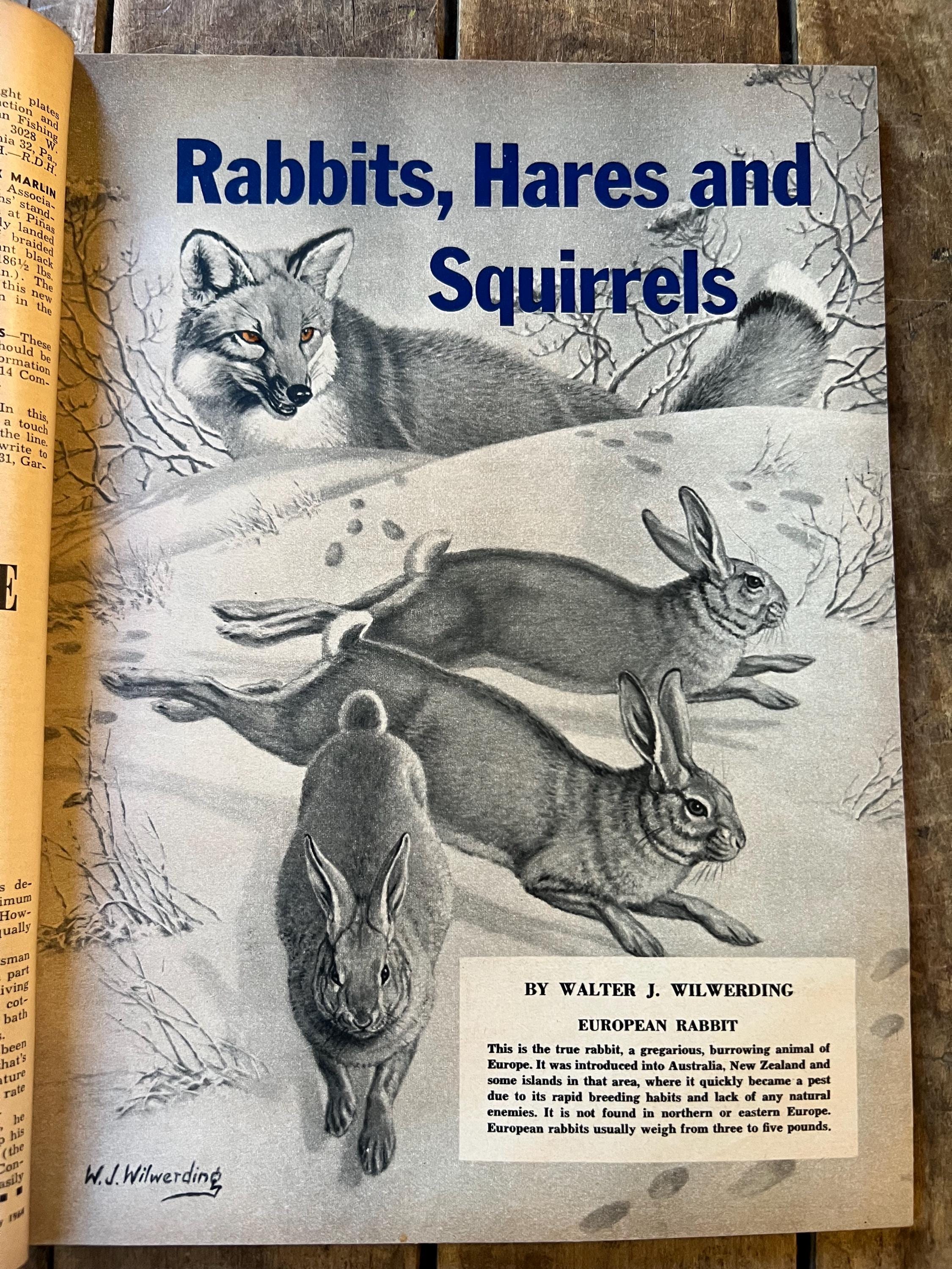 Vintage 1964 Sports Afield Magazine: January Edition