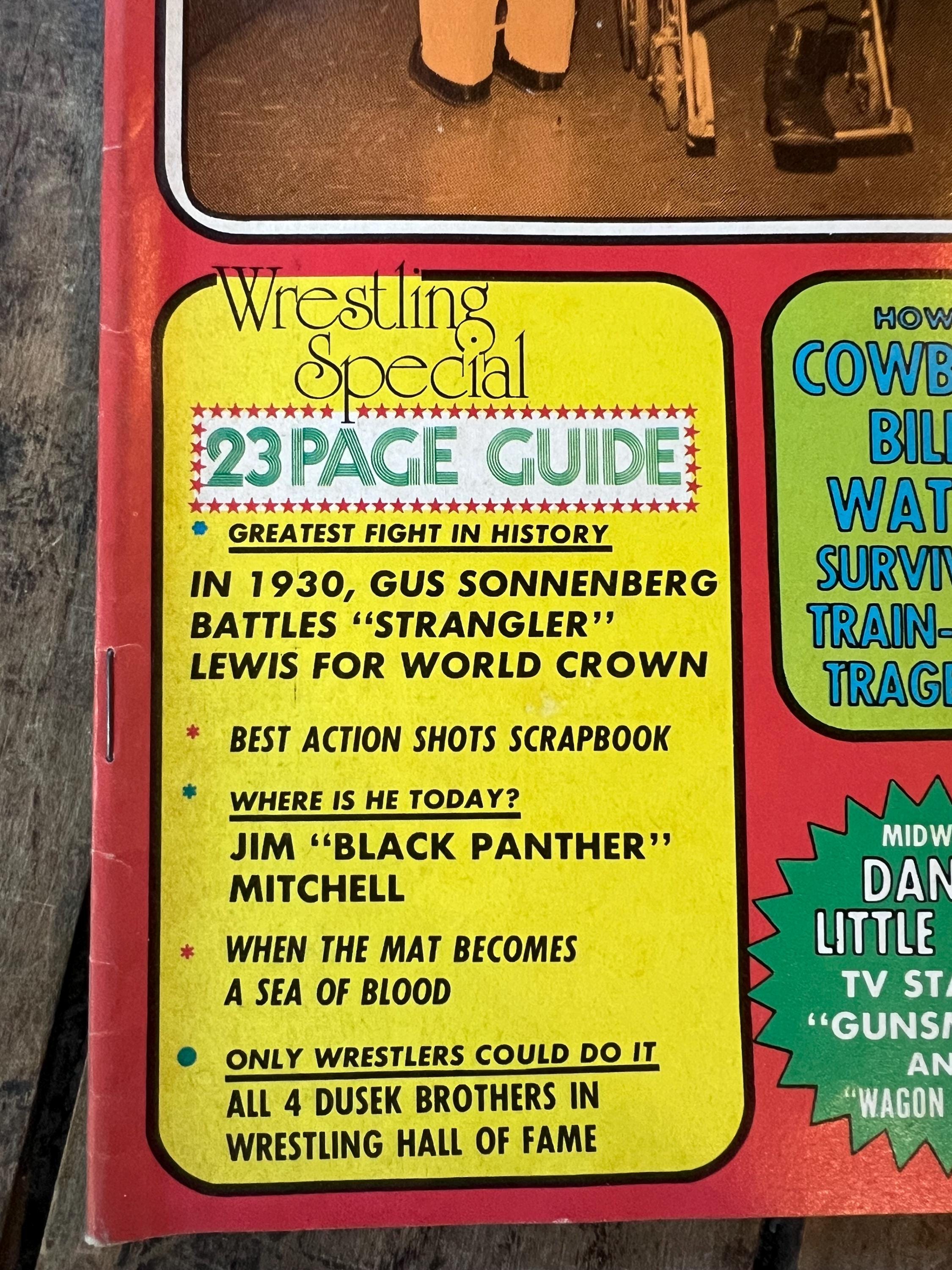 Vintage Wrestling Revue Magazine - February 1975 Issue - Pre WWF/WWE