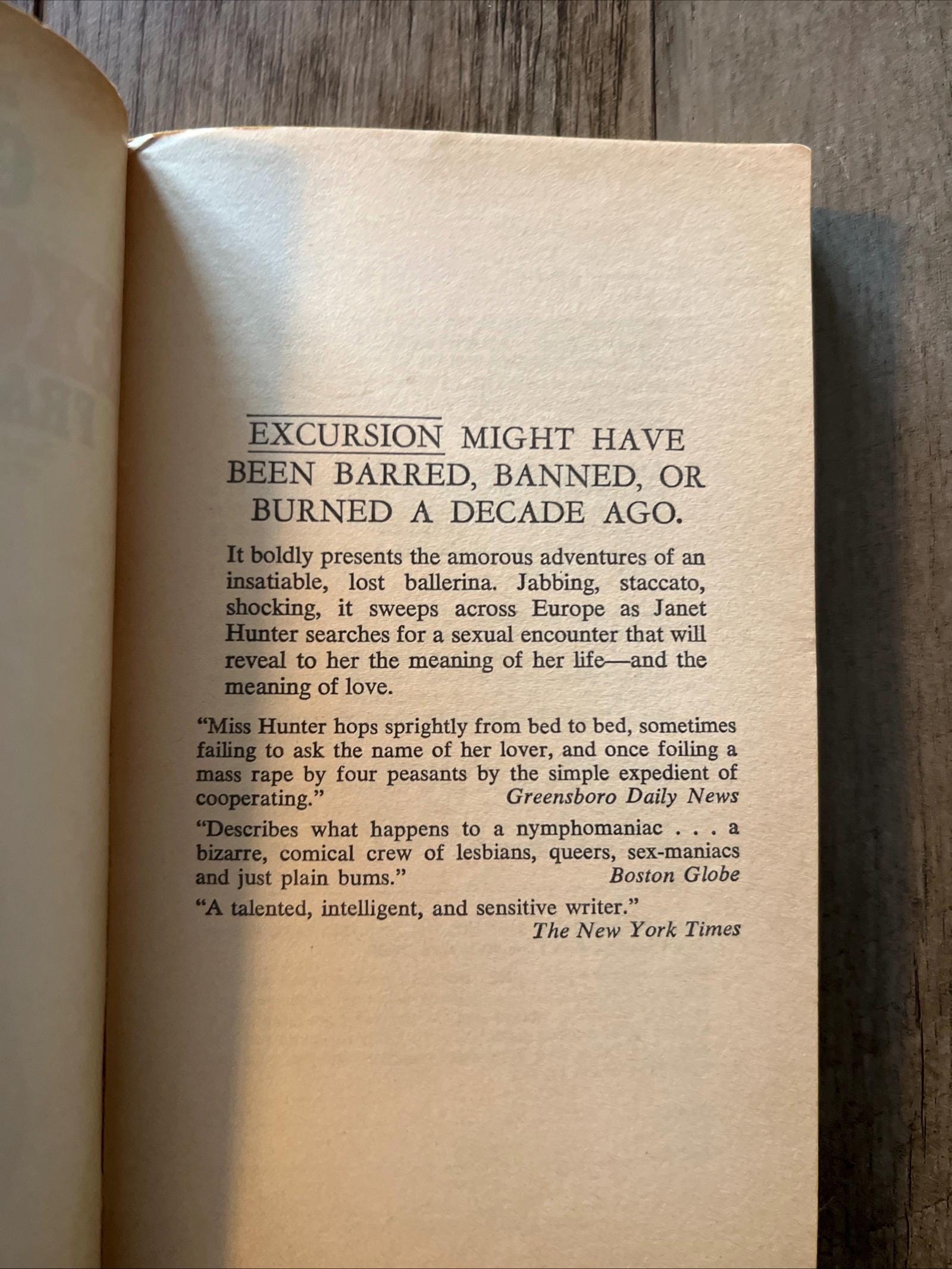 Excursion by Francis Pollini ( 1968 Signet Books Paperback)