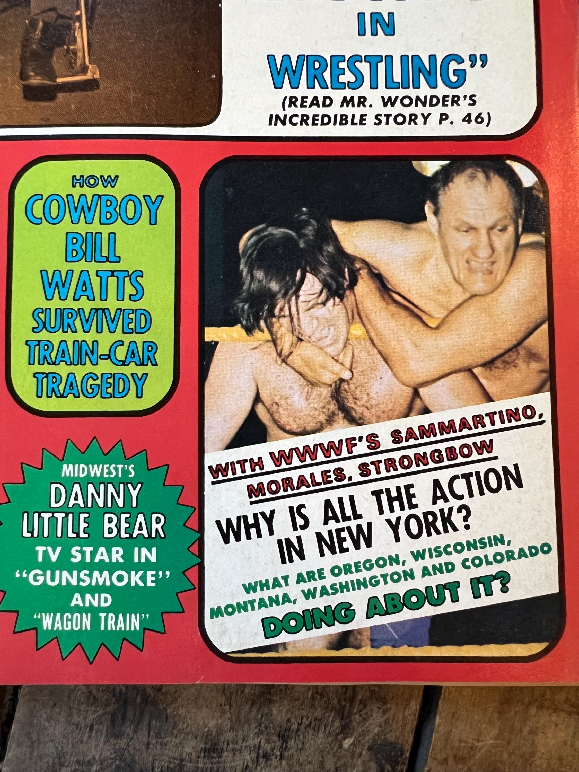 Vintage Wrestling Revue Magazine - February 1975 Issue - Pre WWF/WWE