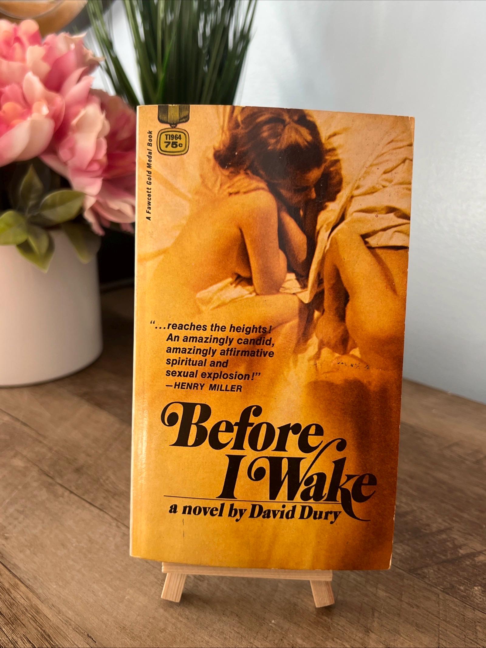 Before I Wake by David Dury ( 1968 Fawcett Gold Medal Paperback) Romace Novel