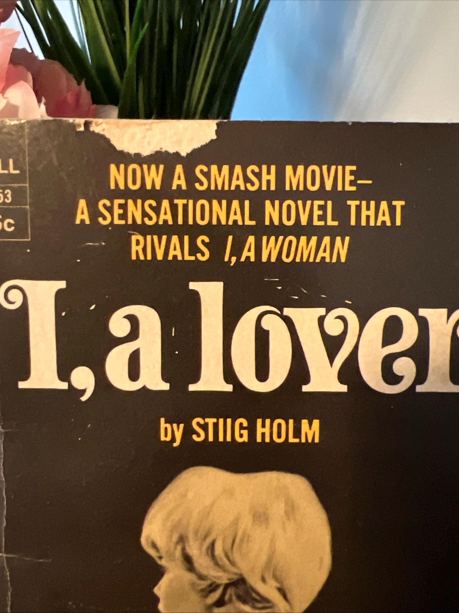 I, a Lover by Stiig Holm ( 1965 Dell Paperback ) Romance Novel