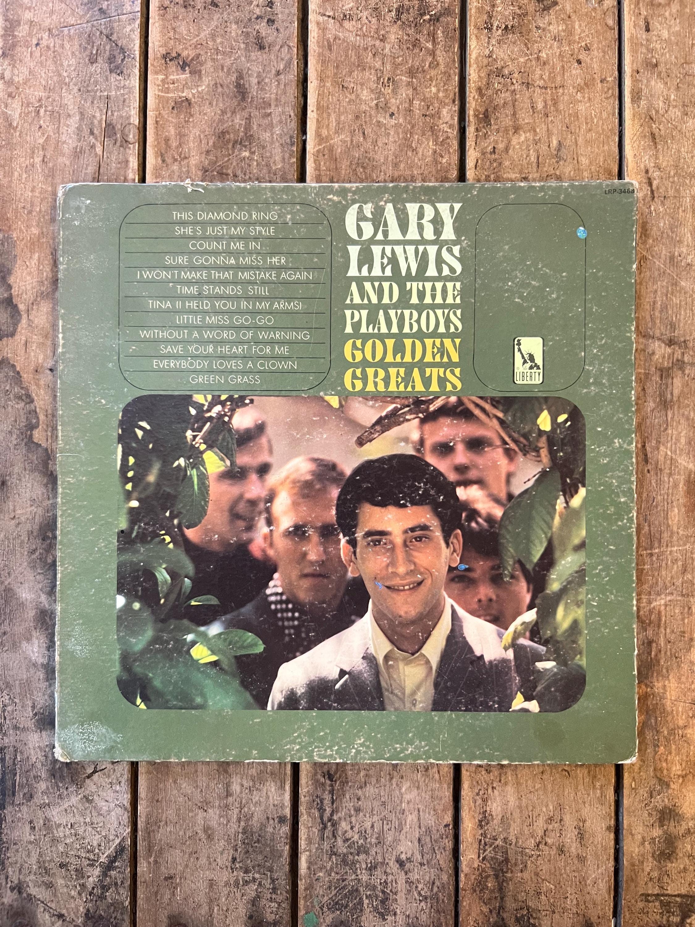 Vintage 1966 Gary Lewis and the Playboys Golden Greats LP - Liberty Records