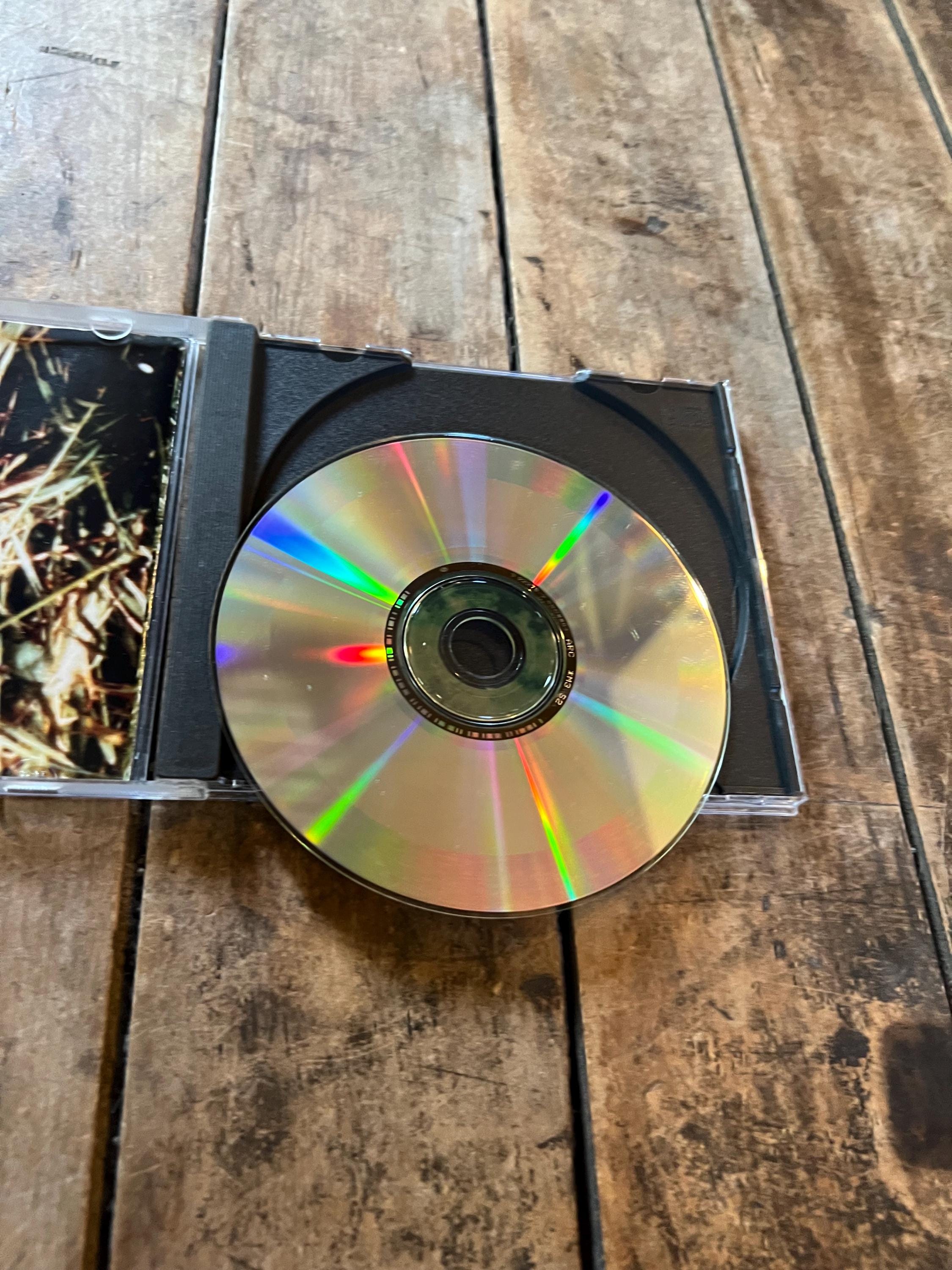The Juliana Hatfield Three “Become What You Are” CD - 1993 Atlantic Records