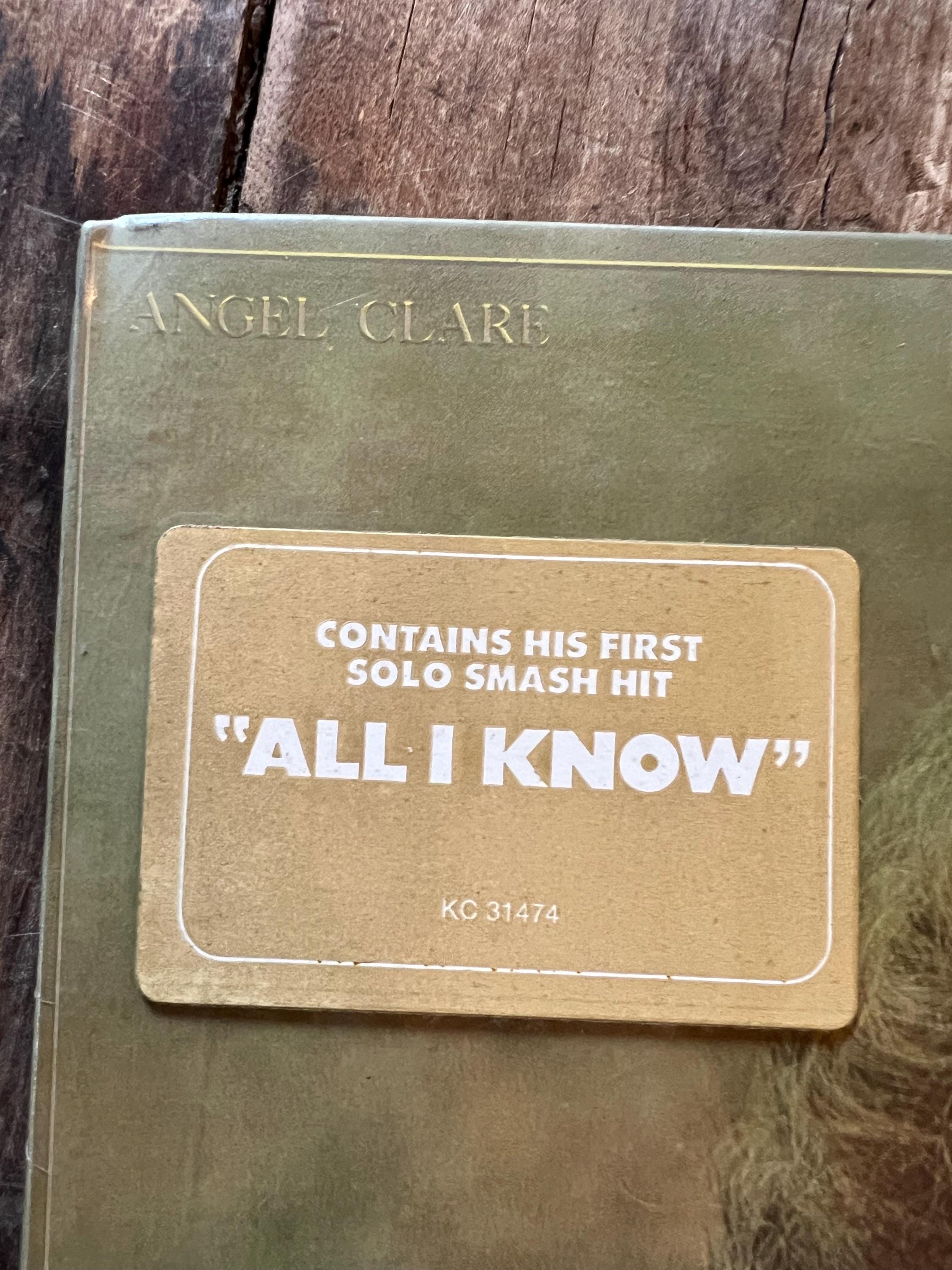 Vintage 1973 Art Garfunkel - Angel Clare LP Record - Folk Rock