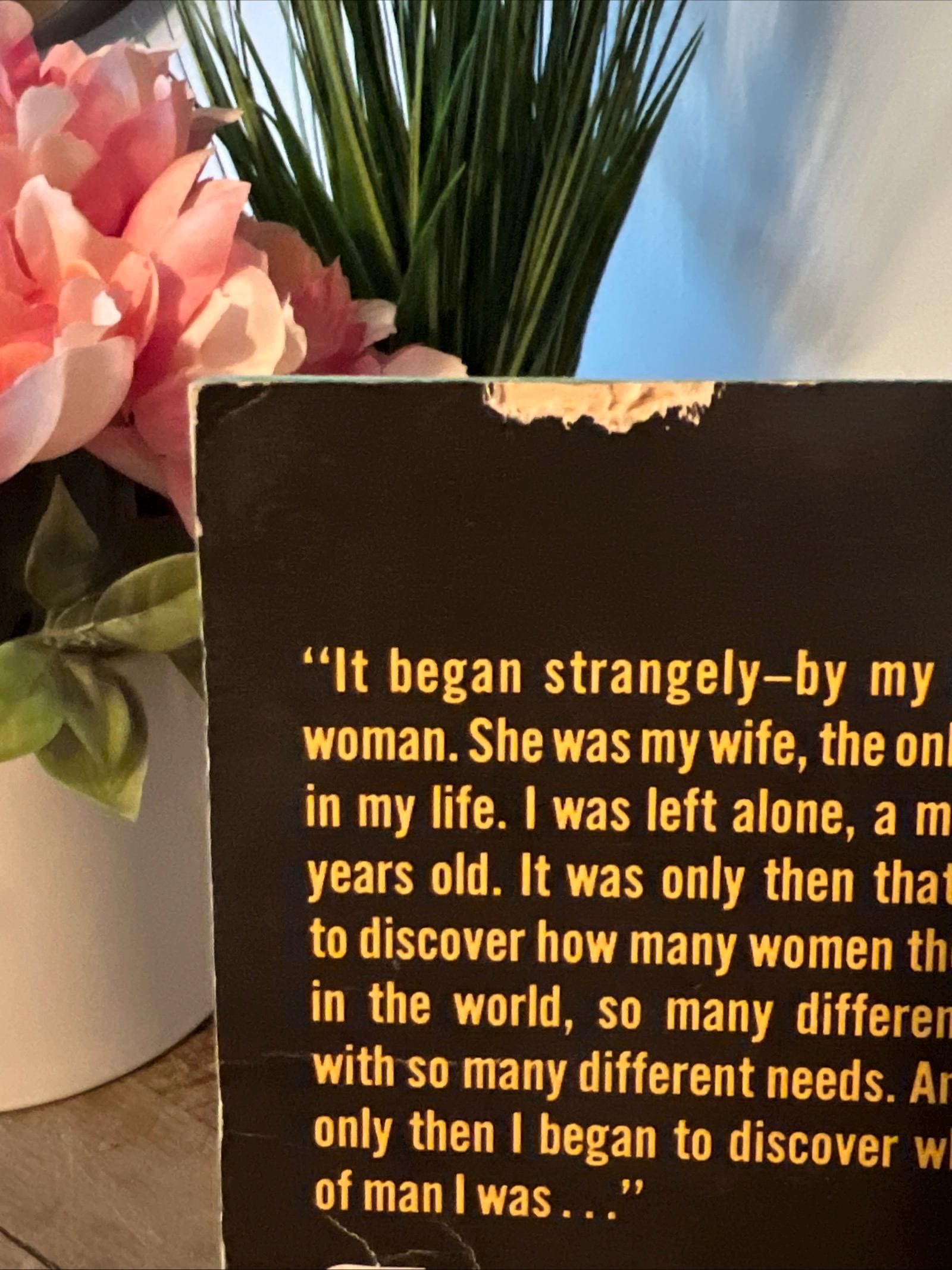 I, a Lover by Stiig Holm ( 1965 Dell Paperback ) Romance Novel