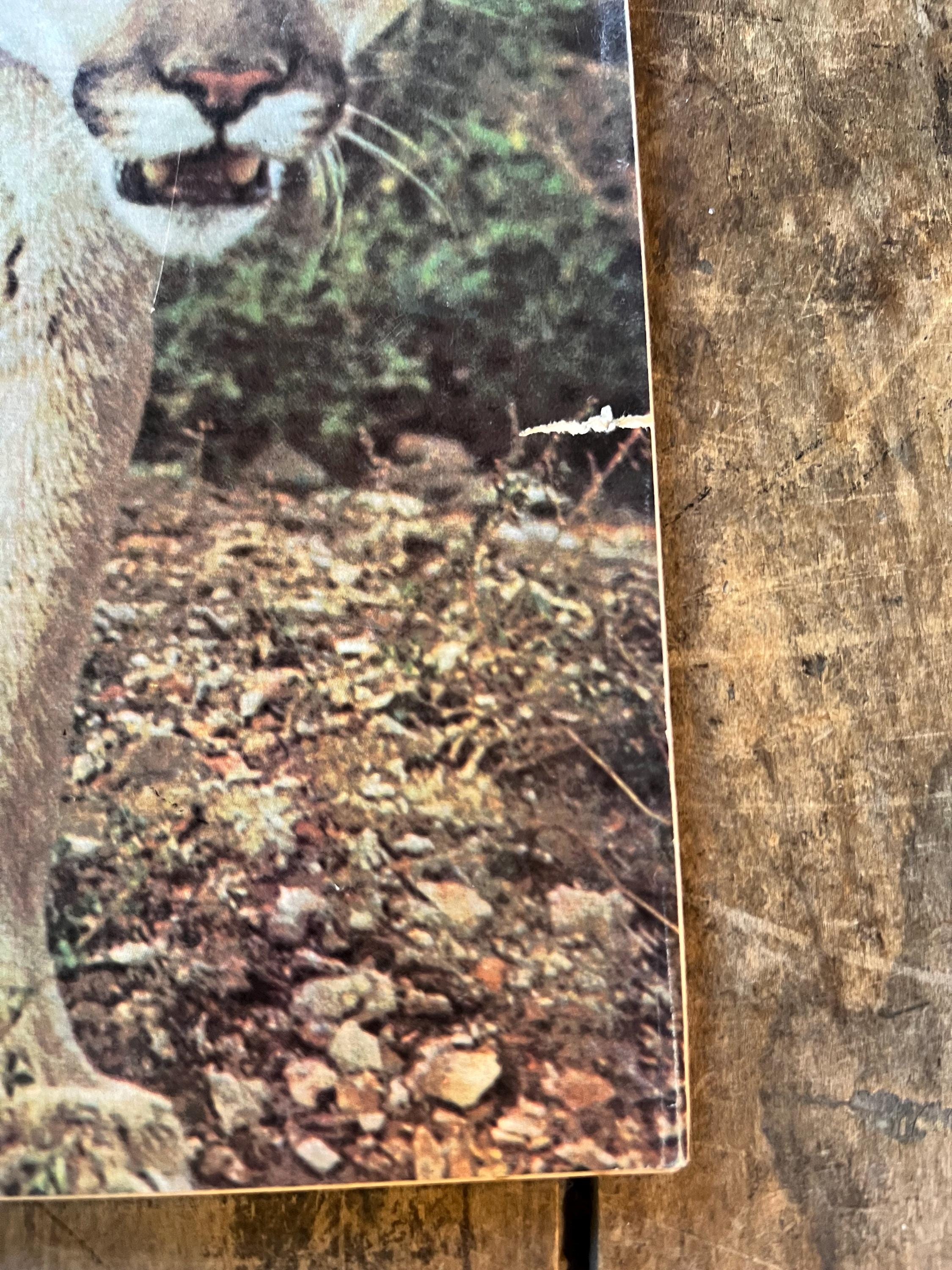 Vintage 1975 American Rifleman Magazine - February Edition