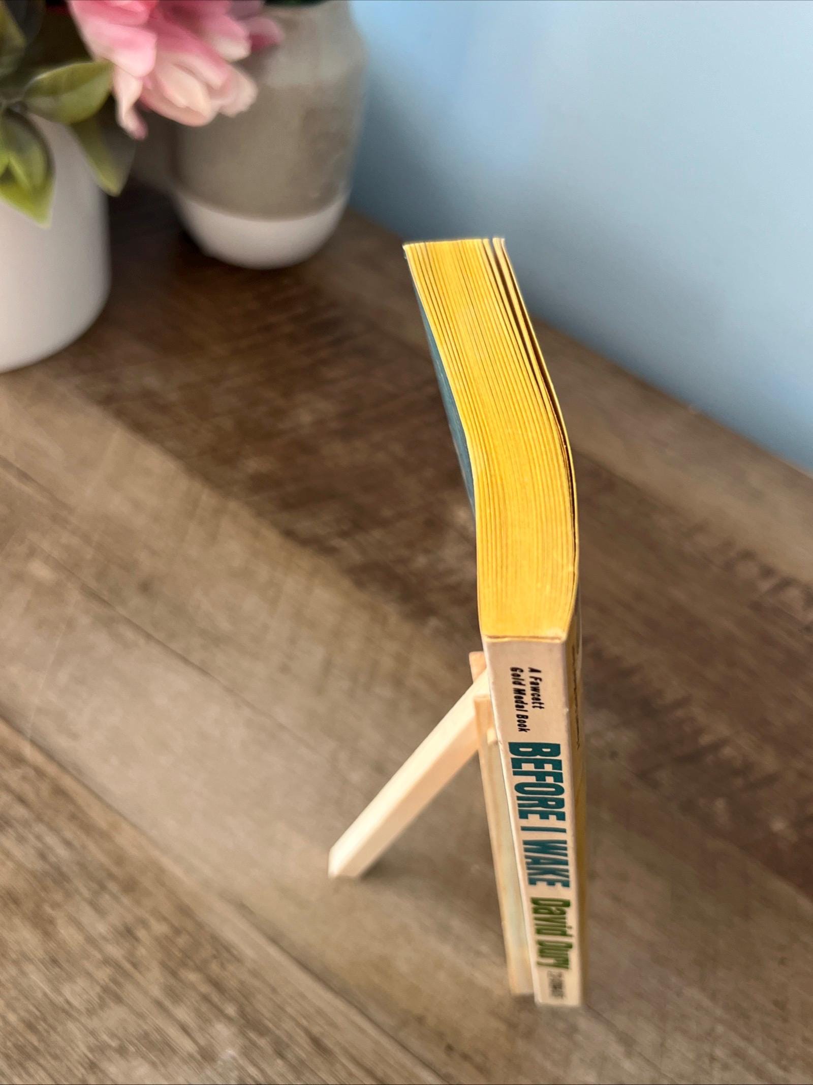 Before I Wake by David Dury ( 1968 Fawcett Gold Medal Paperback) Romace Novel