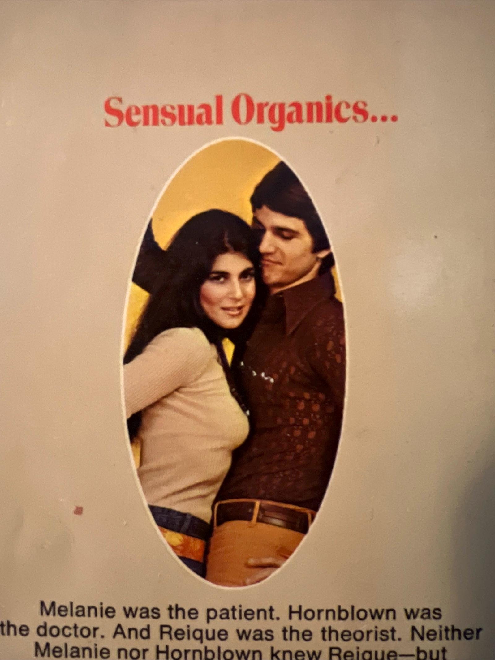 The Melanie Quest by Rosemary Santini ( 1969 Lancer Books Paperback) Romance Novel