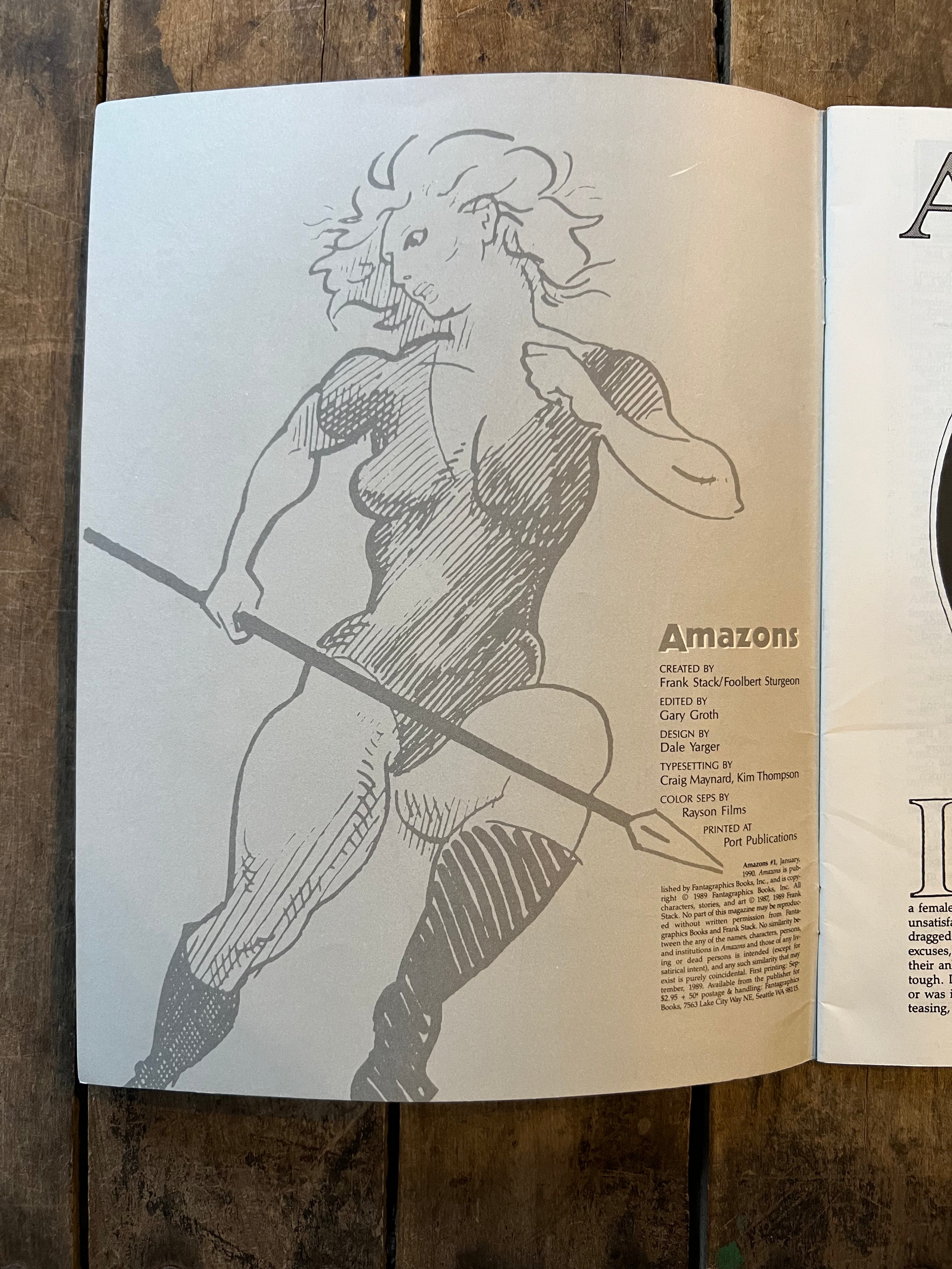 AMAZONS #1 ( 1990 ) Fantagraphics Books Inc. - Graphic Novel