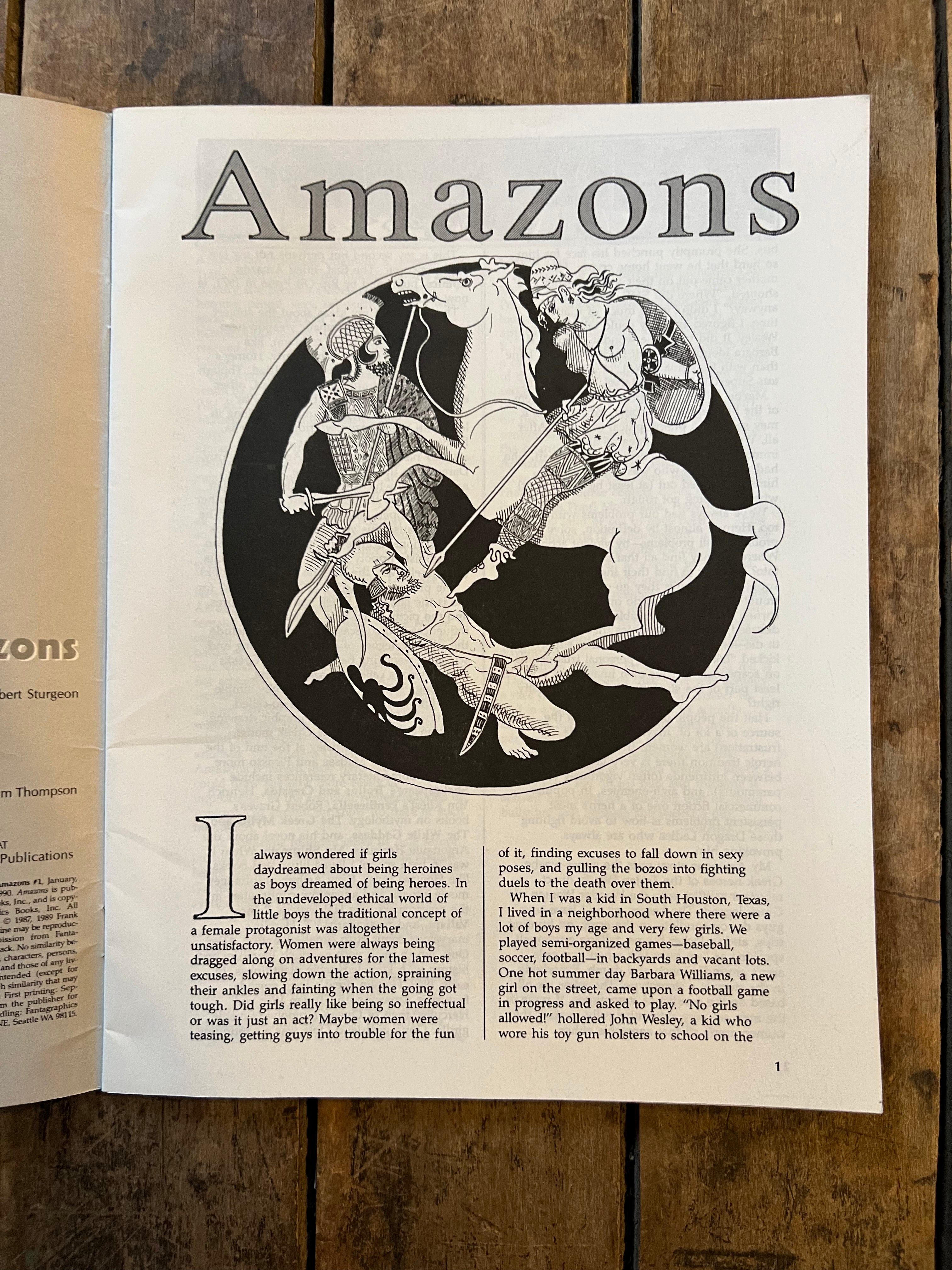 AMAZONS #1 ( 1990 ) Fantagraphics Books Inc. - Graphic Novel