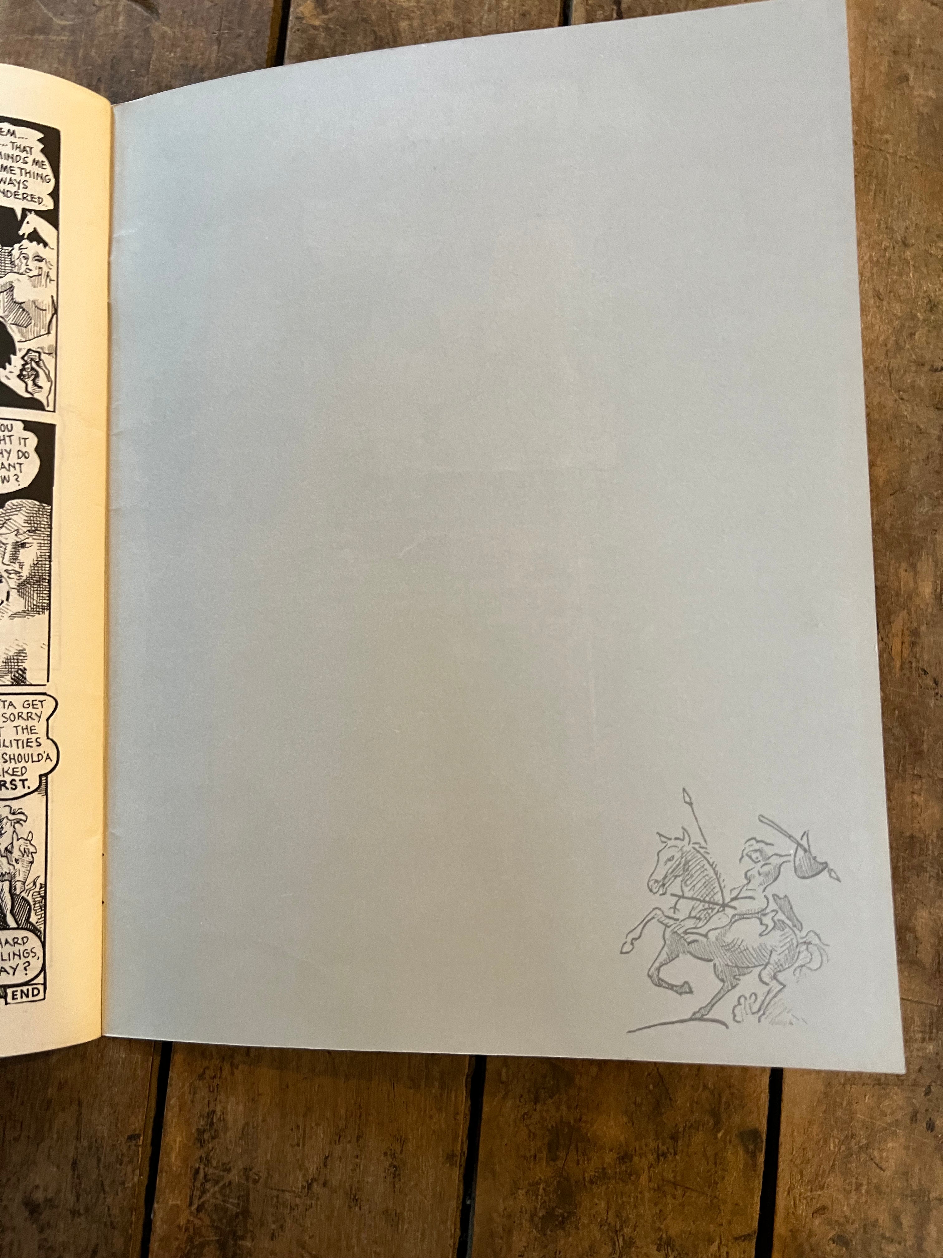 AMAZONS #1 ( 1990 ) Fantagraphics Books Inc. - Graphic Novel