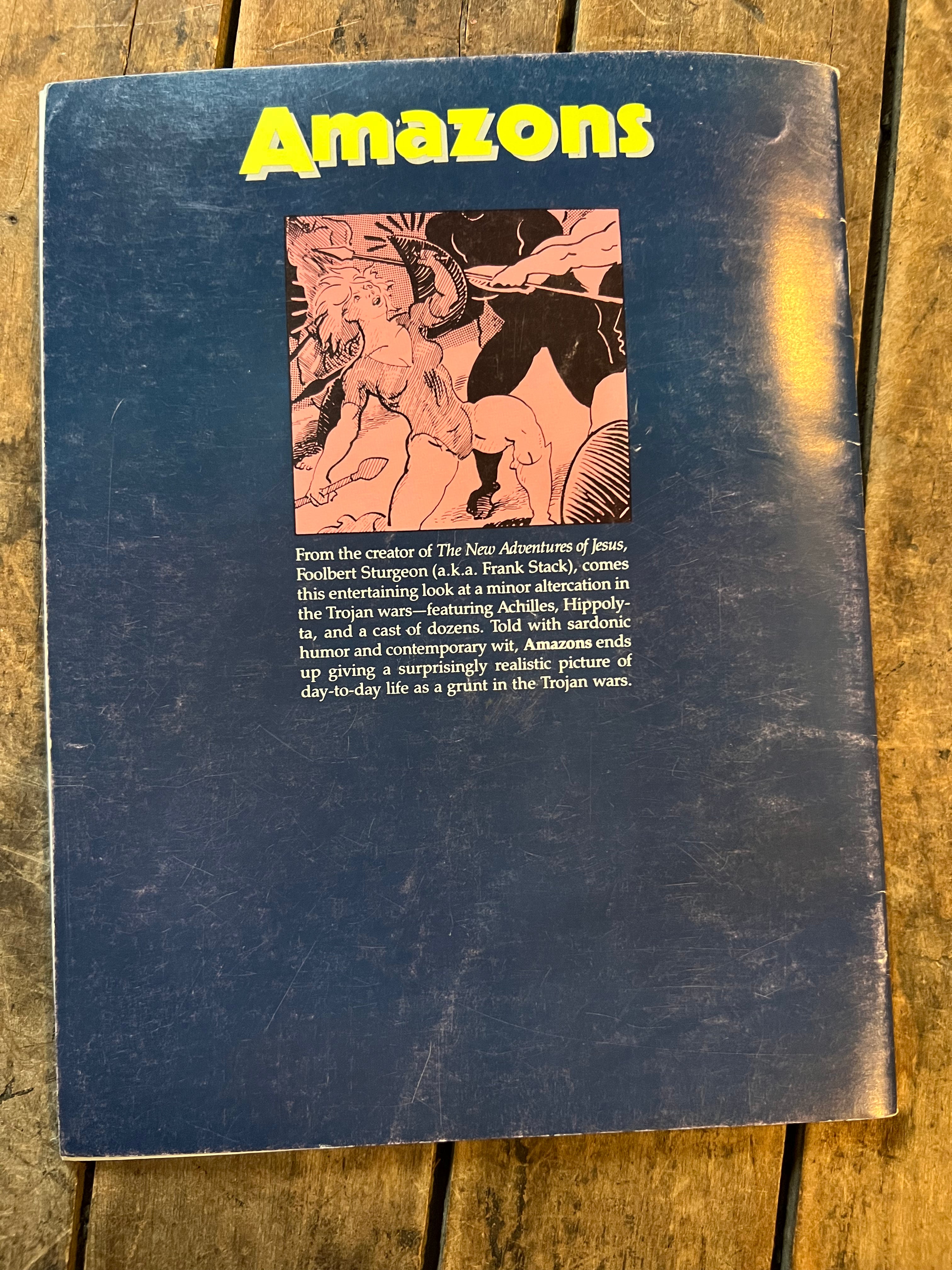 AMAZONS #1 ( 1990 ) Fantagraphics Books Inc. - Graphic Novel