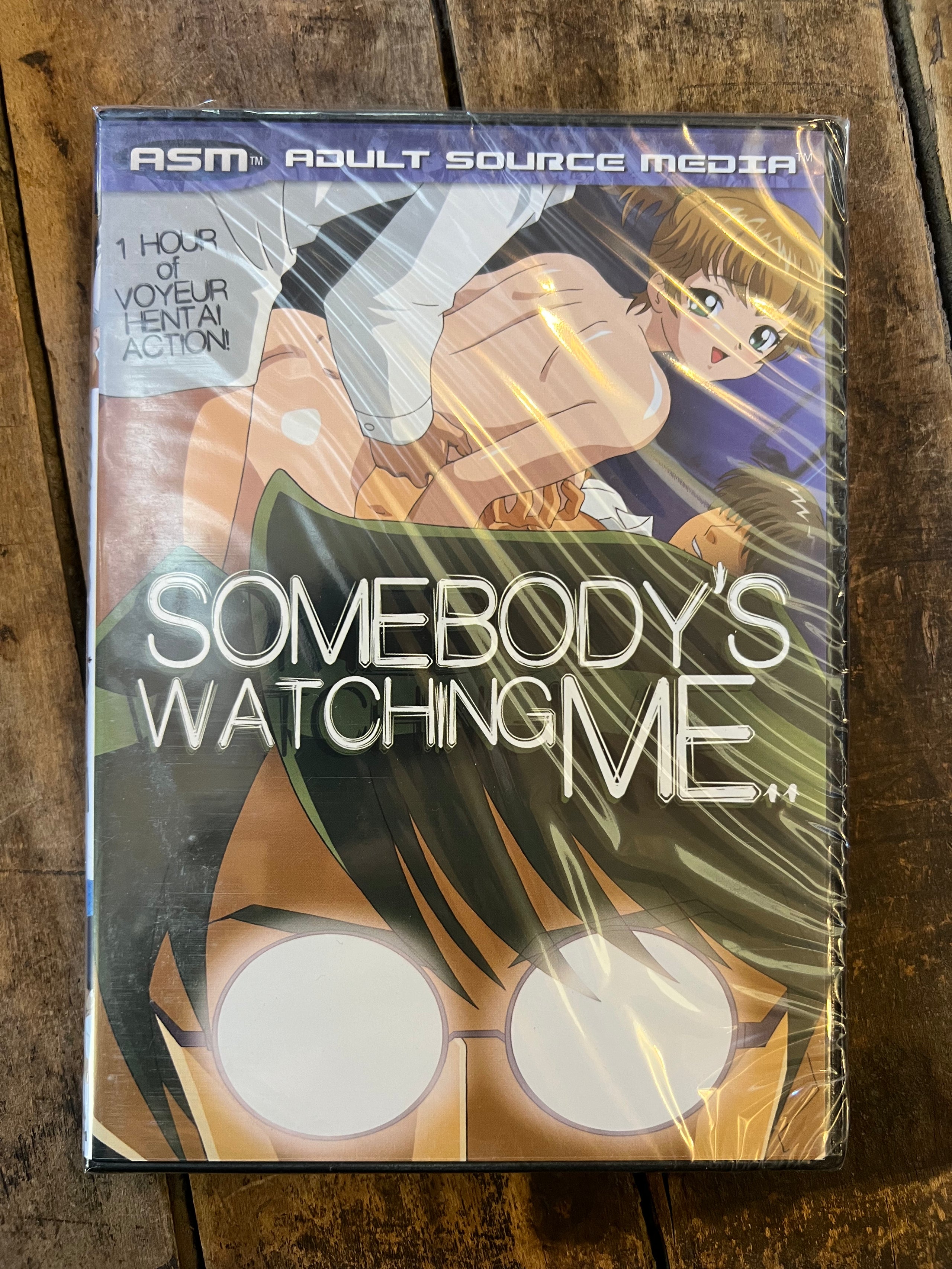Somebody’s Watching Me - DVD 2014 - Adult Source Media