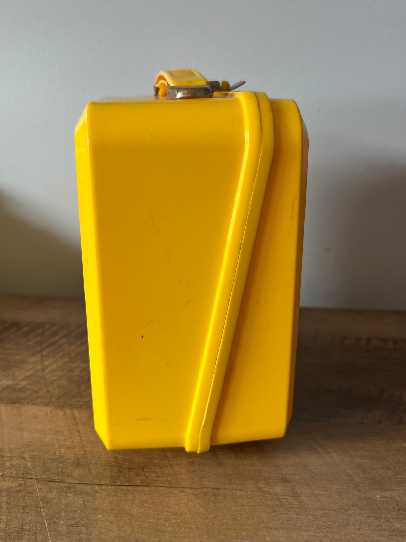 She-Ra 1985 PRINCESS OF POWER - Aladdin Plastic Lunch Box Collectible