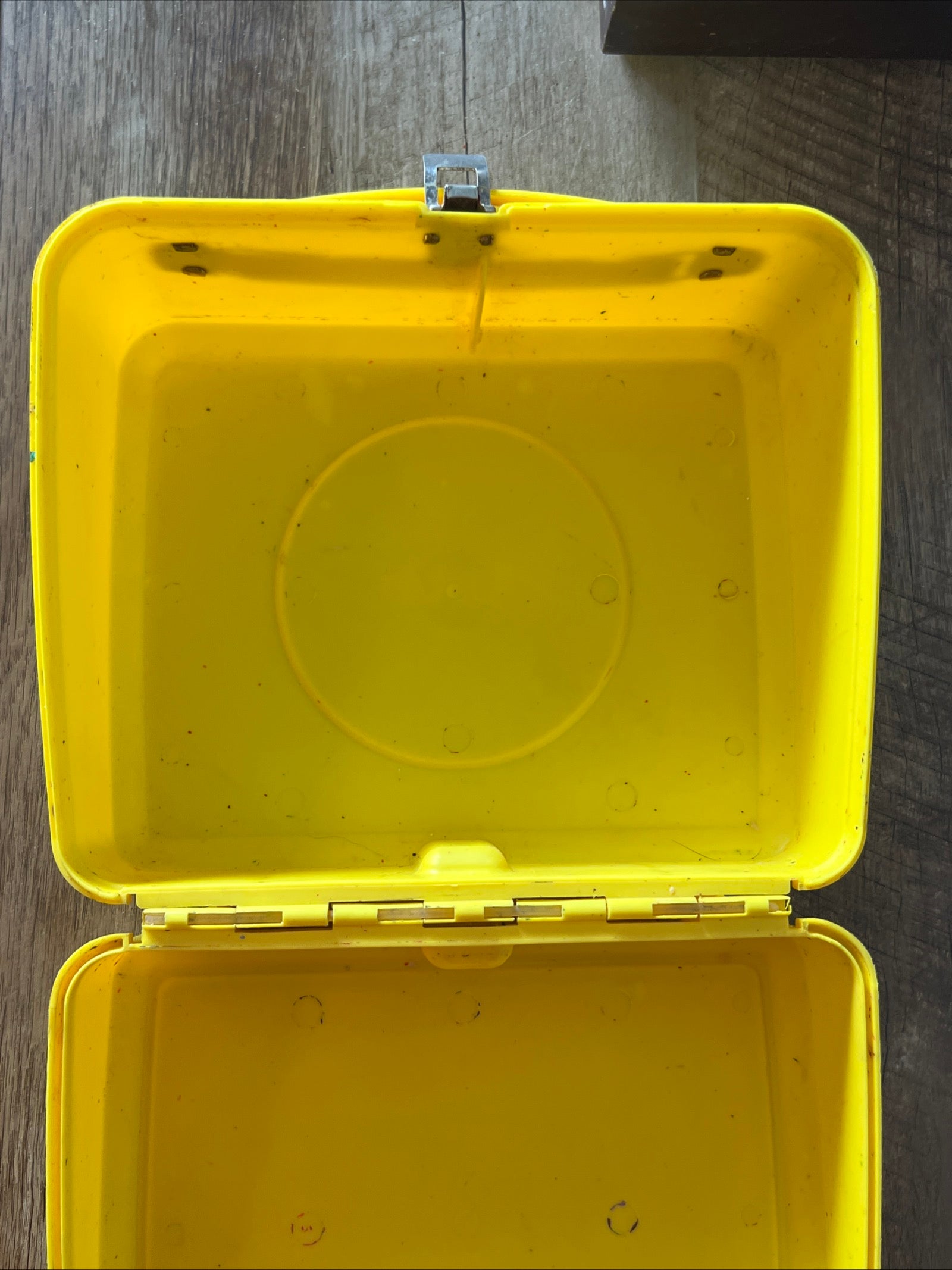 She-Ra 1985 PRINCESS OF POWER - Aladdin Plastic Lunch Box Collectible