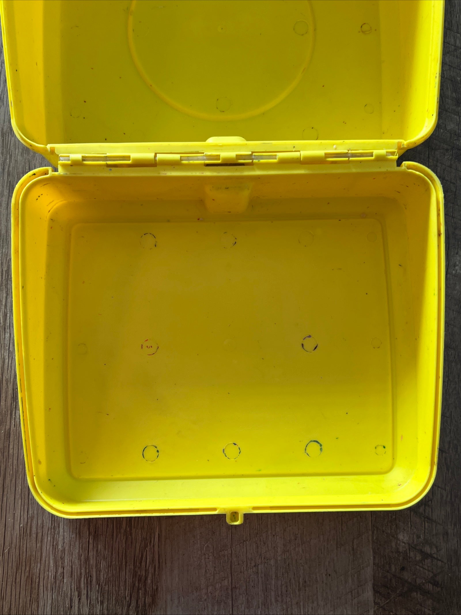 She-Ra 1985 PRINCESS OF POWER - Aladdin Plastic Lunch Box Collectible