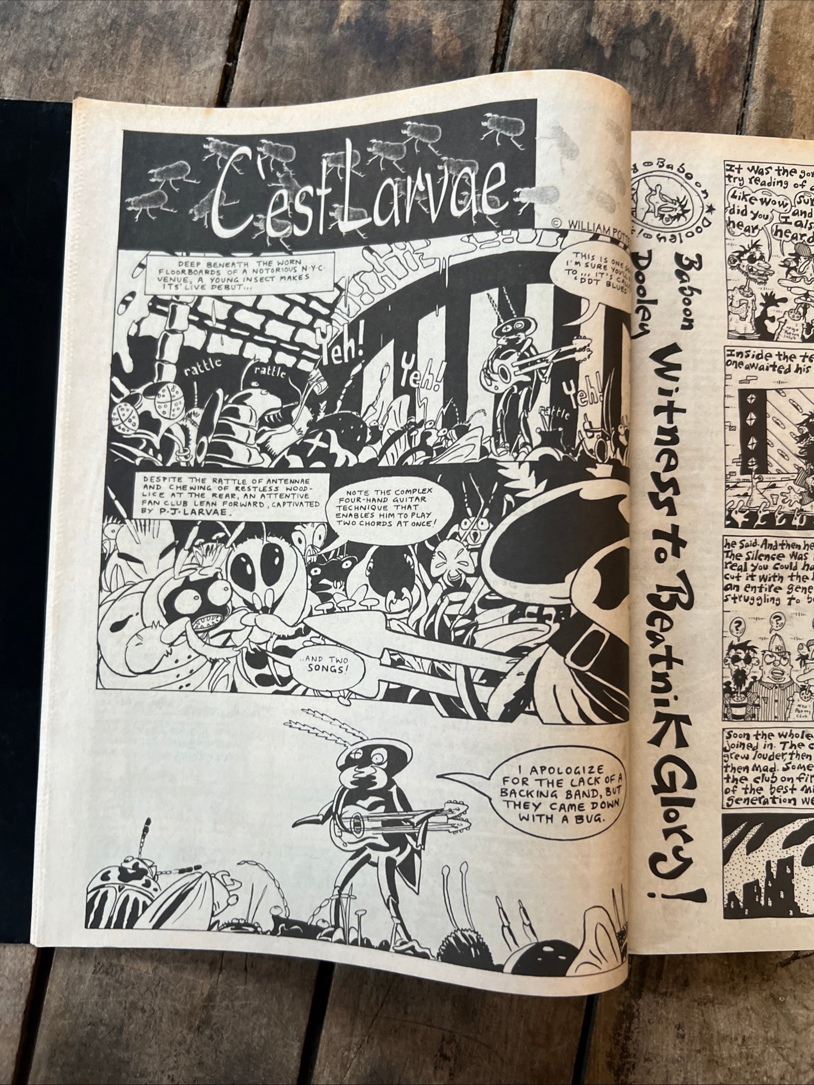 FLIPSIDE Magazine Punk Rock Fanzine - July / August 1993 - BOREDOMS Cover