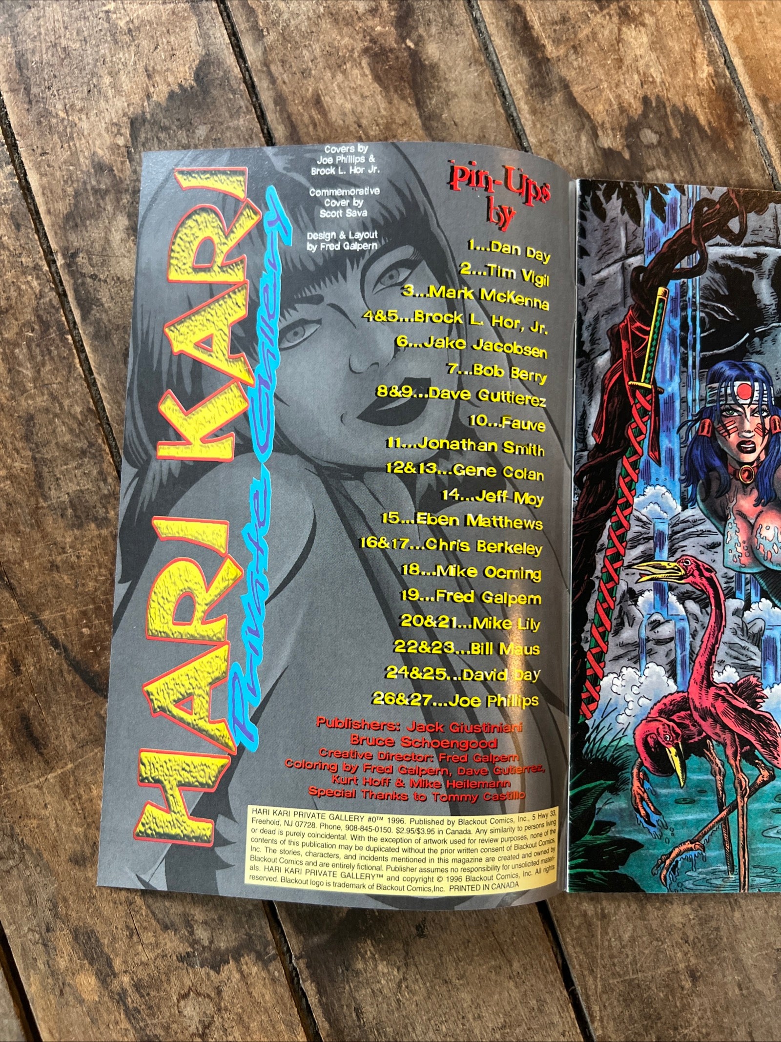 Hari Kari Private Gallery #0 (1996) Blackout Comics