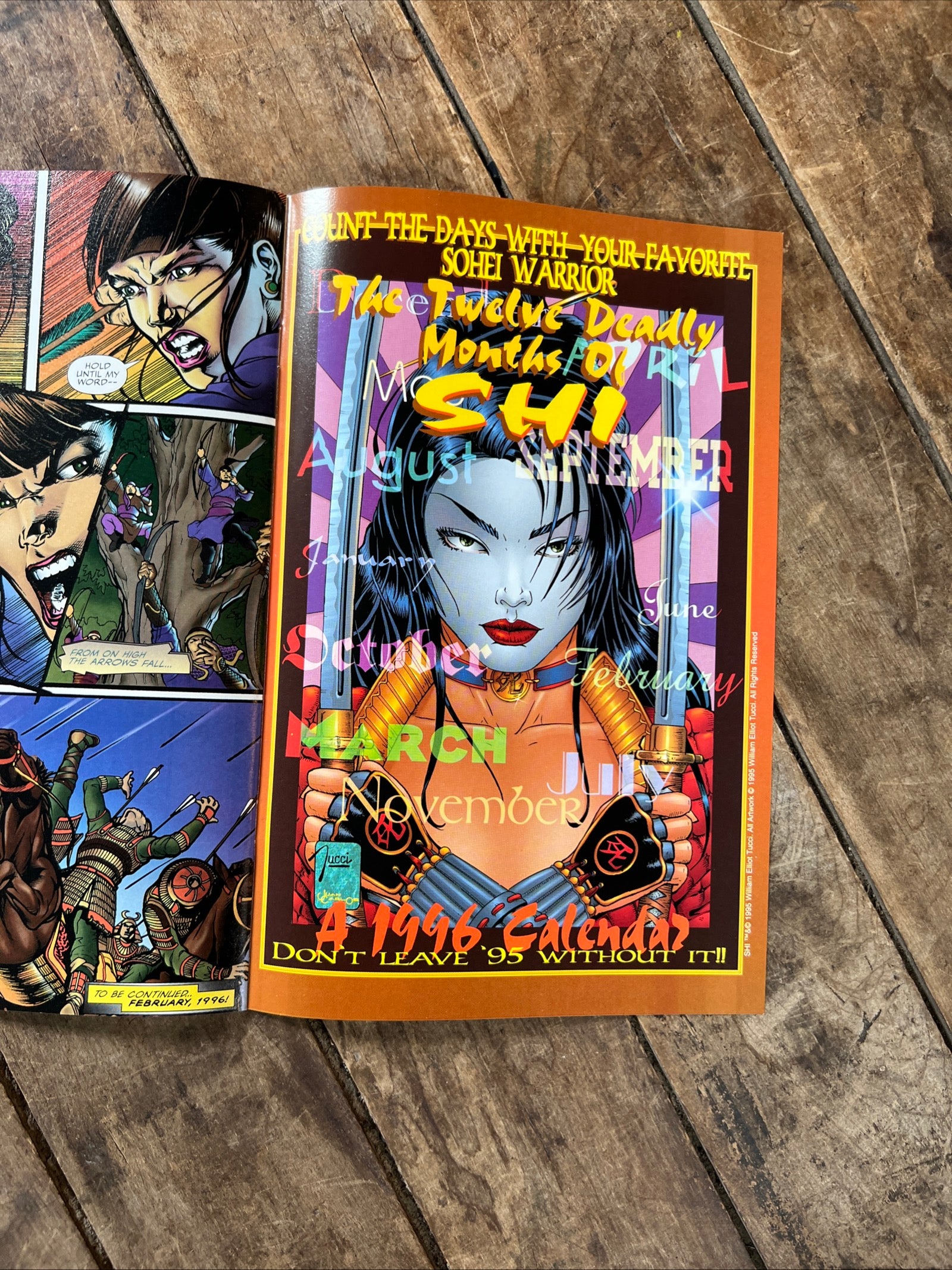 SHI: The Way of The Warrior - Fan Appreciation Edition #2 (1994 ) Crusade Comics