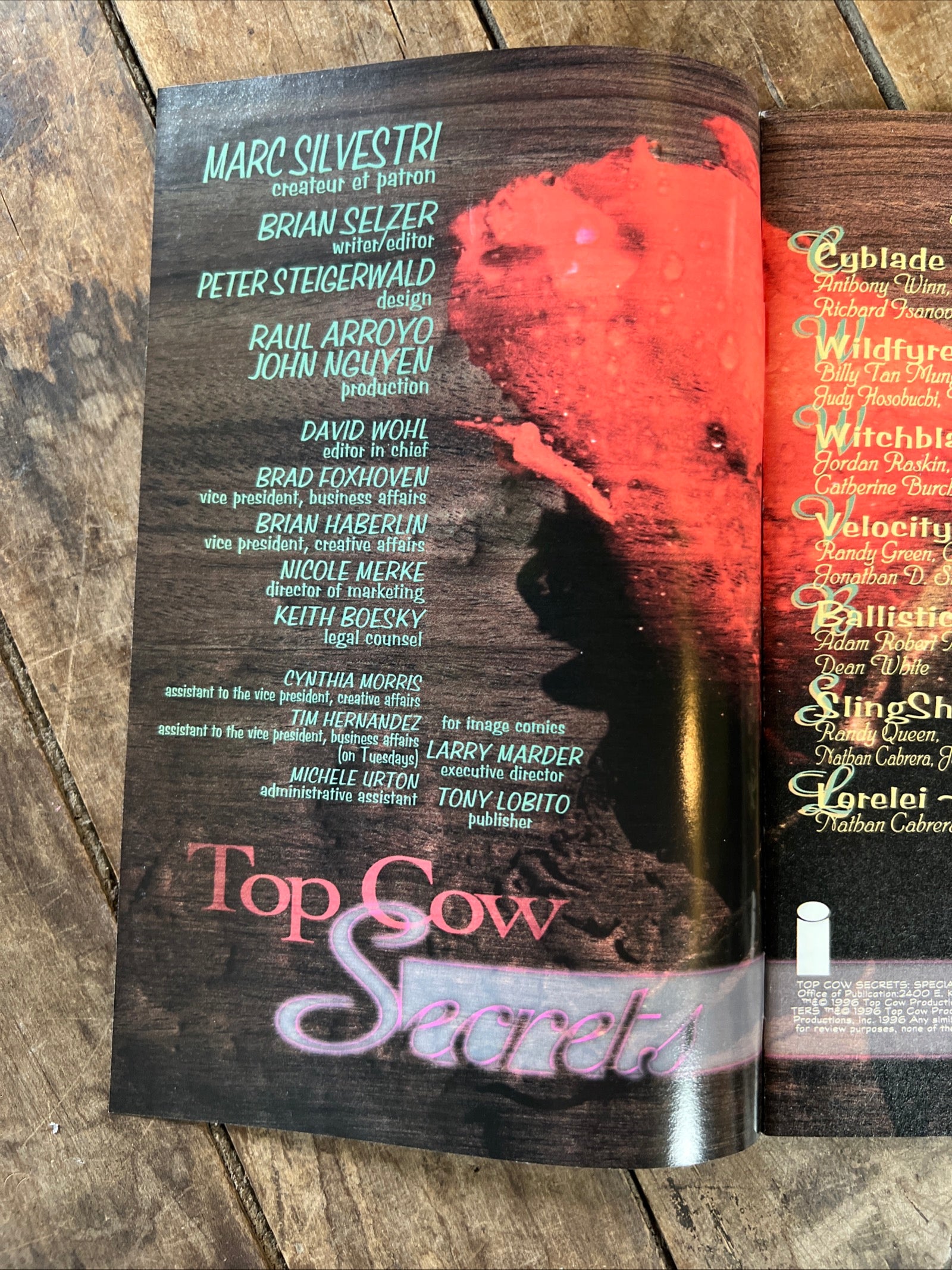 Top Cow Secrets Special Winter Lingerie Edition #1 ( 1996 ) Image Comics
