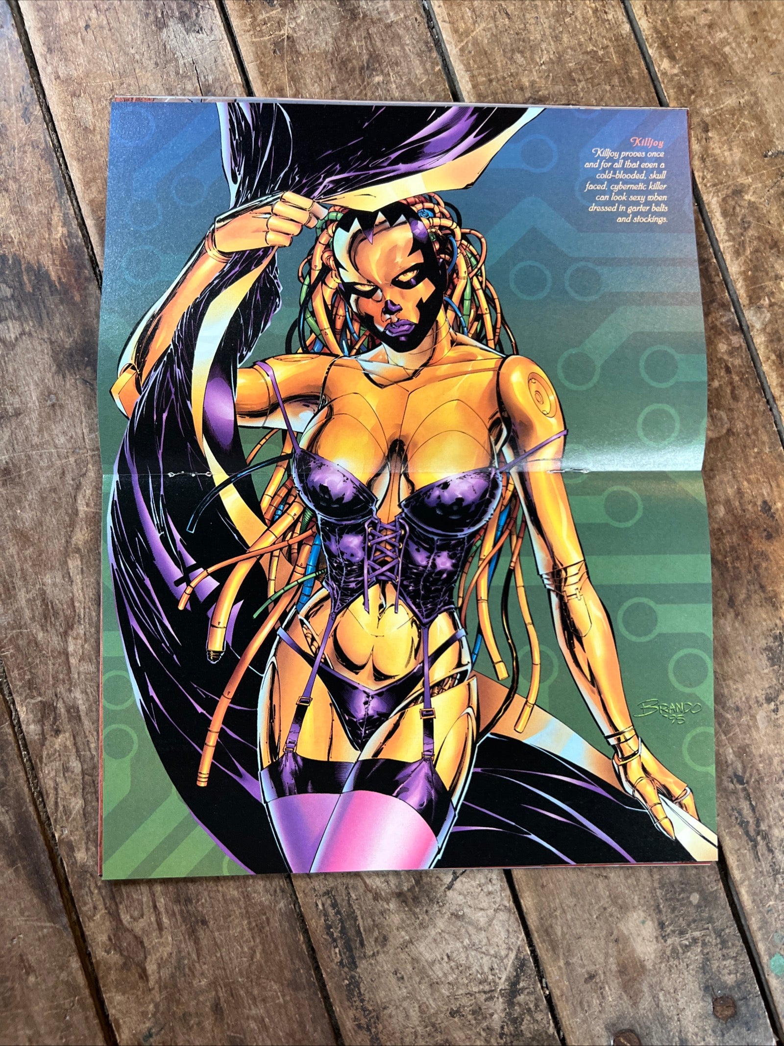 Top Cow Secrets Special Winter Lingerie Edition #1 ( 1996 ) Image Comics