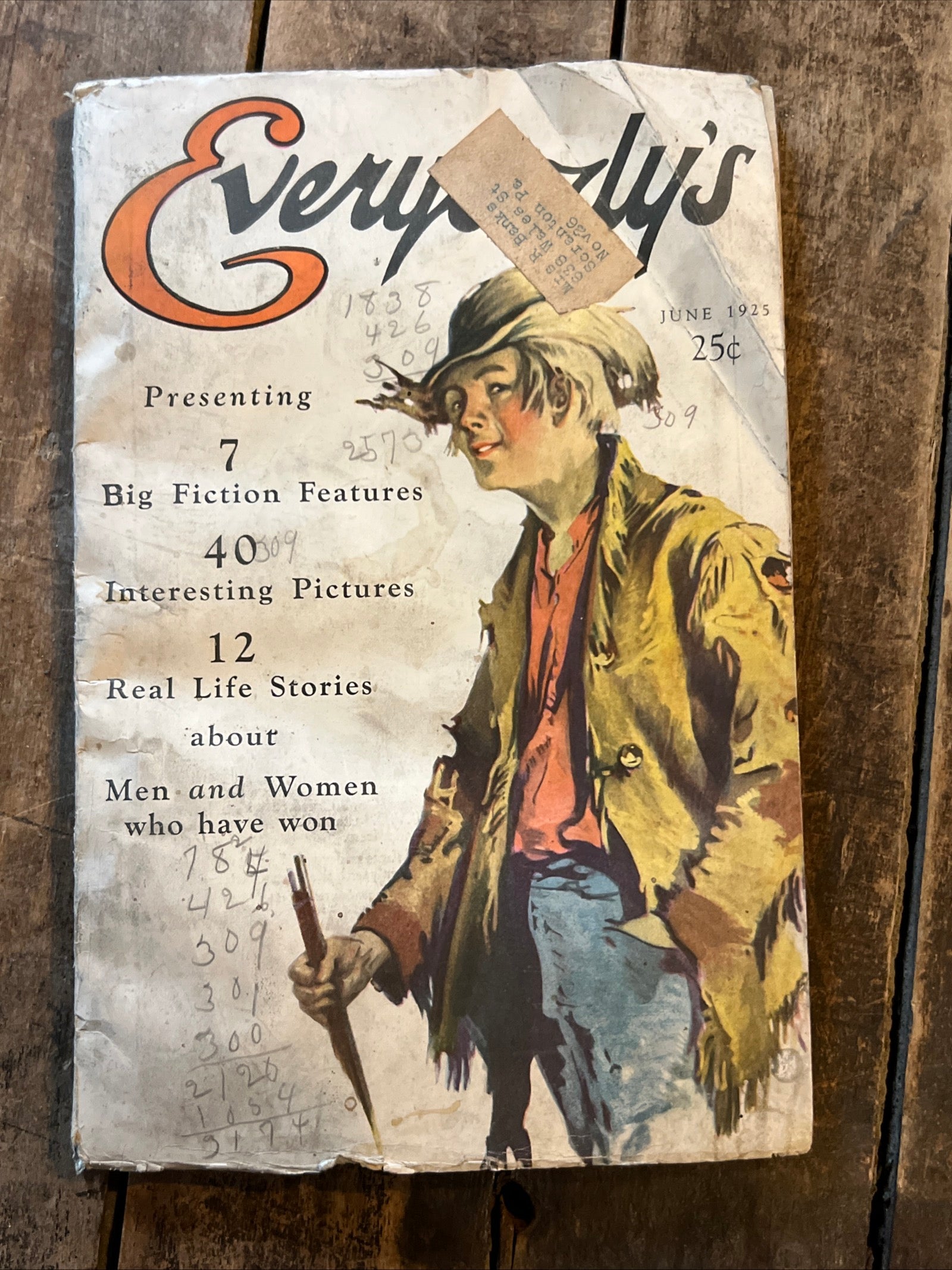 Everybody’s Magazine - June 1925 ( Volume 52, No. 6)