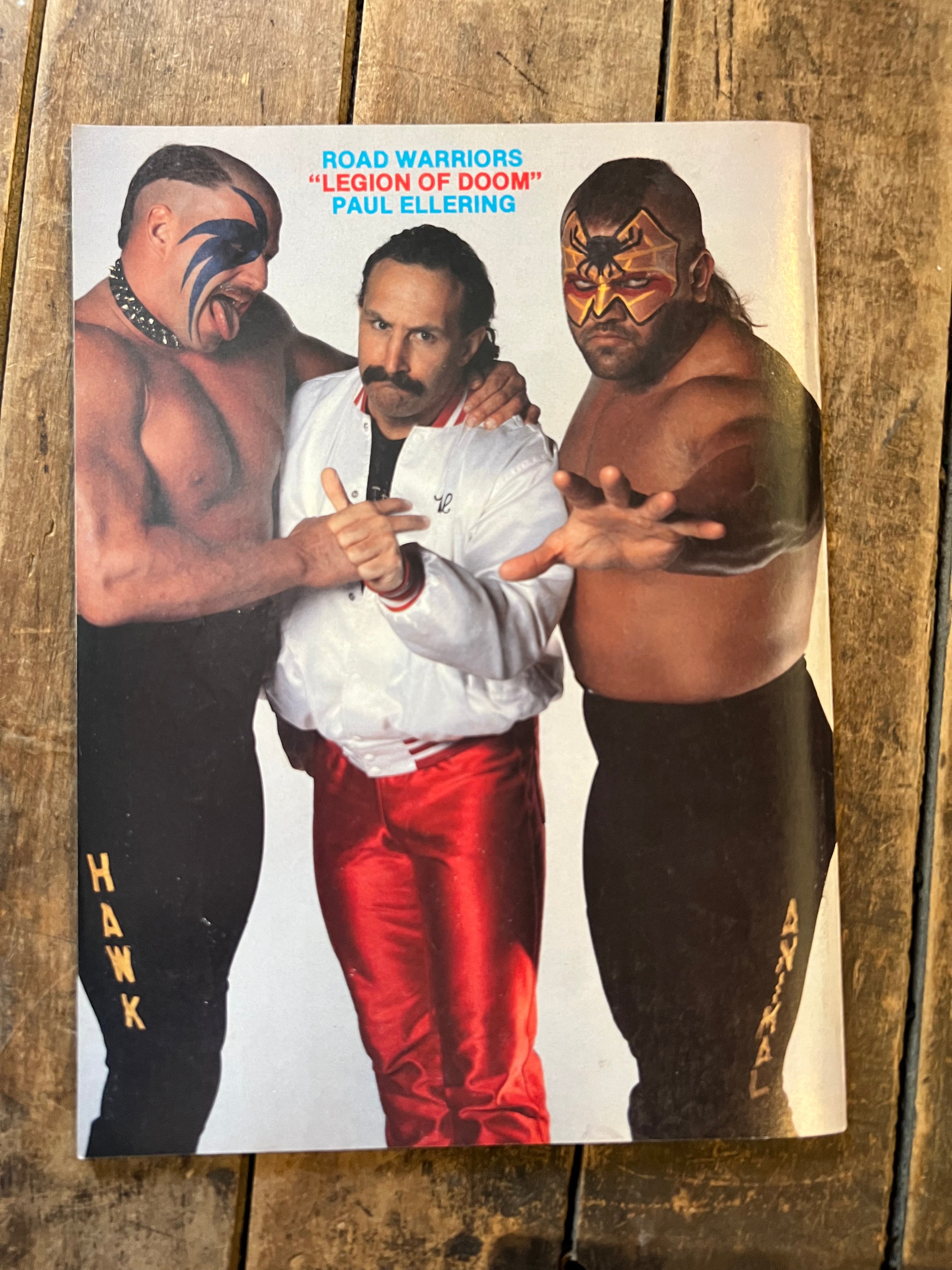 Wrestling All Star Magazine - WWF / WWE - LUGER & STING!