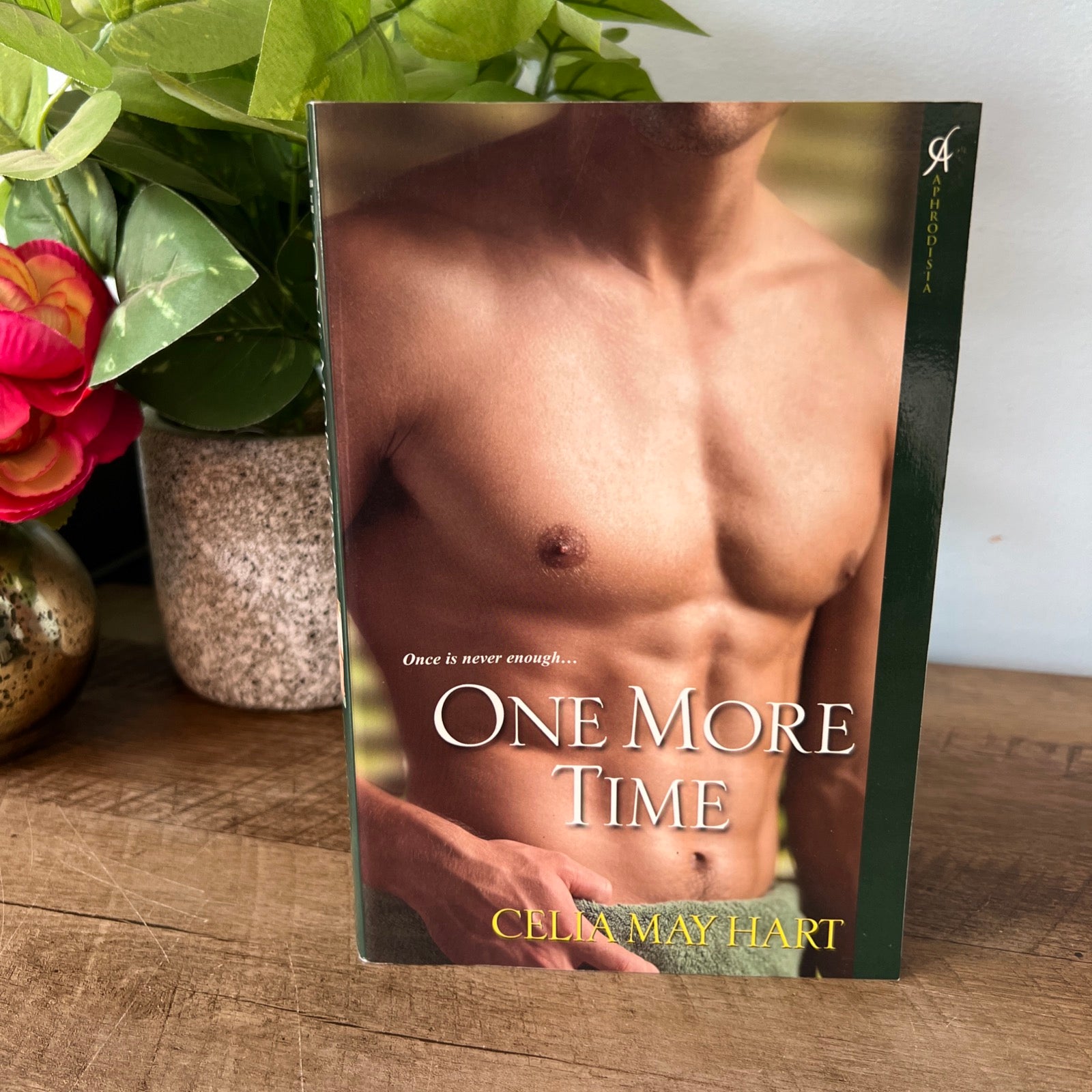 One More Time by Celia May Hart - Paperback Erotica by Kensington Books