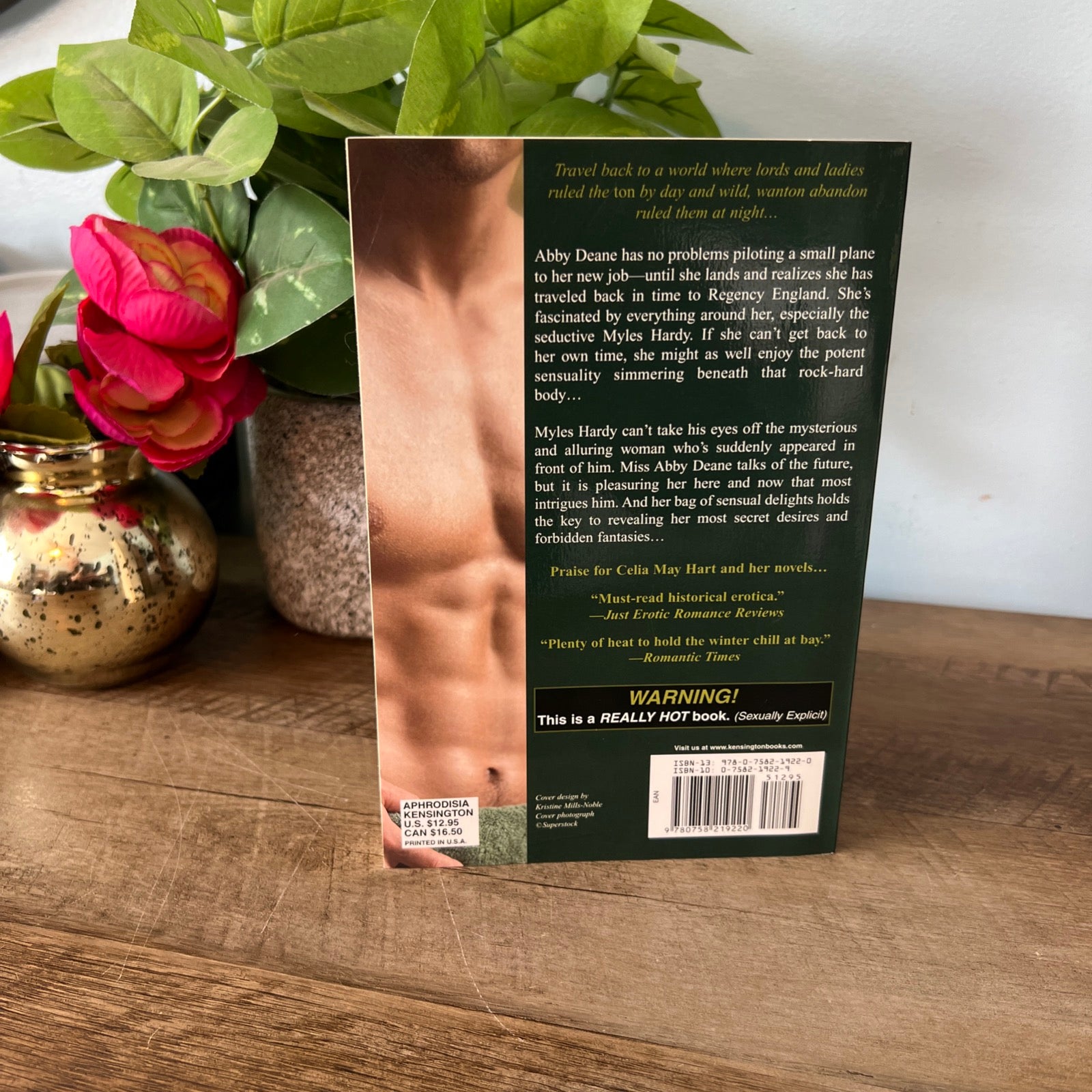 One More Time by Celia May Hart - Paperback Erotica by Kensington Books
