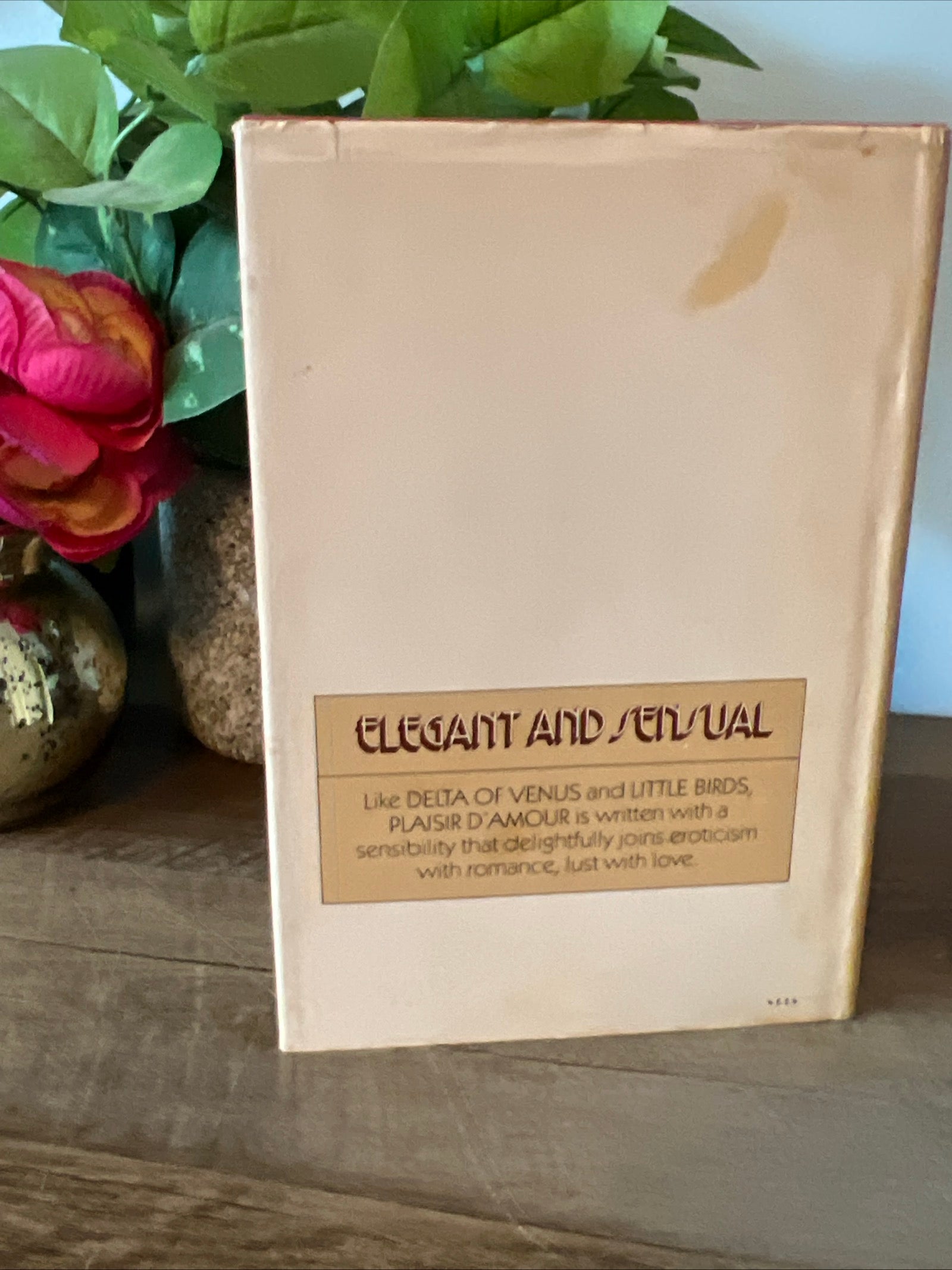 Plaisir D'Amour: An Erotic Memoir of Paris in the 1920s by Anne-Marie Villefranche