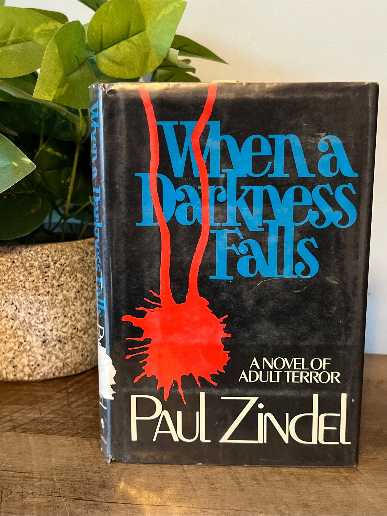 When A Darkness Falls by Paul Zindel - Hardcover Mystery Novel Bantam Books