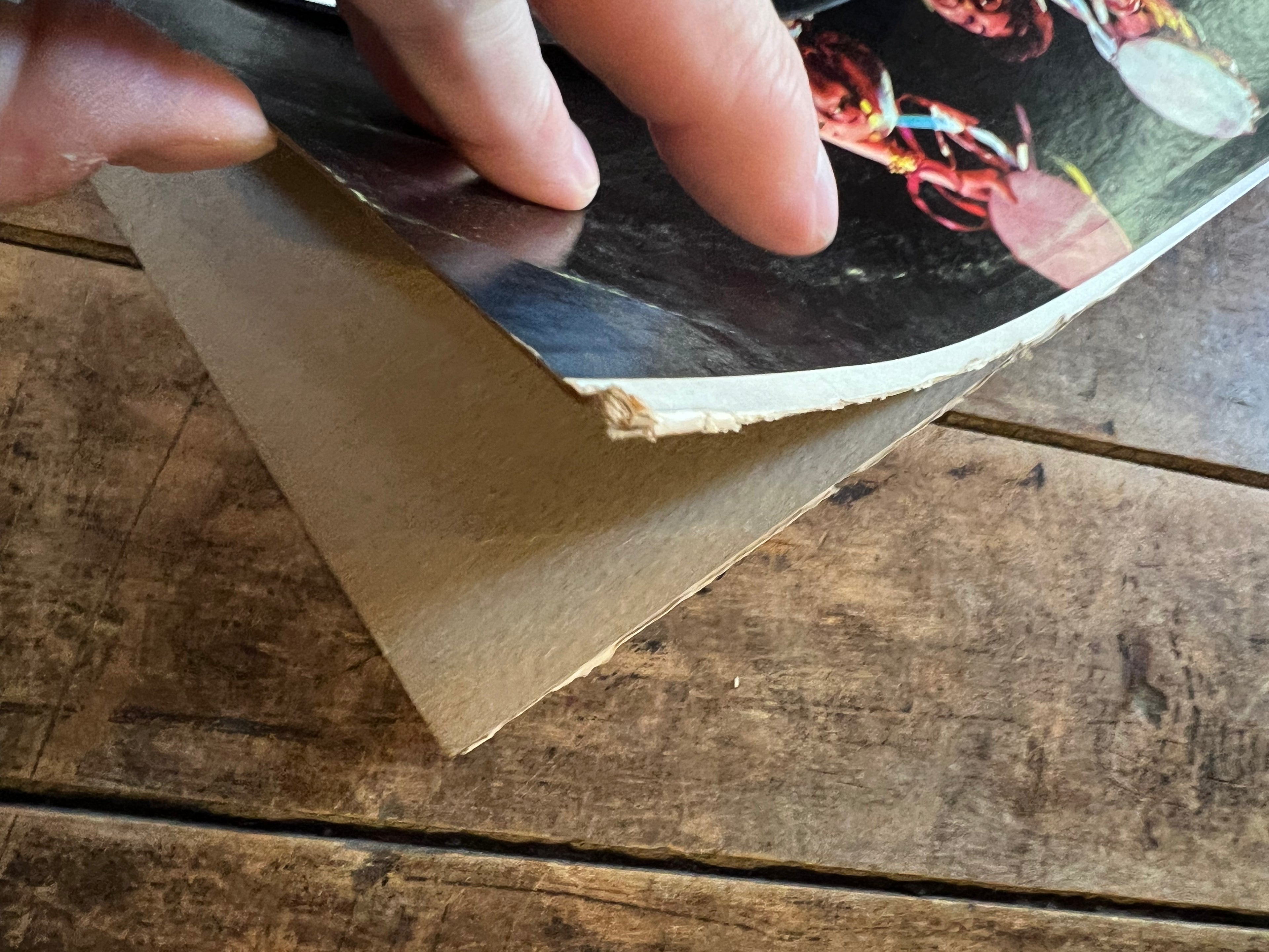 101 Strings - Gypsy Campfires - 1958 Record - LP Vinyl Album