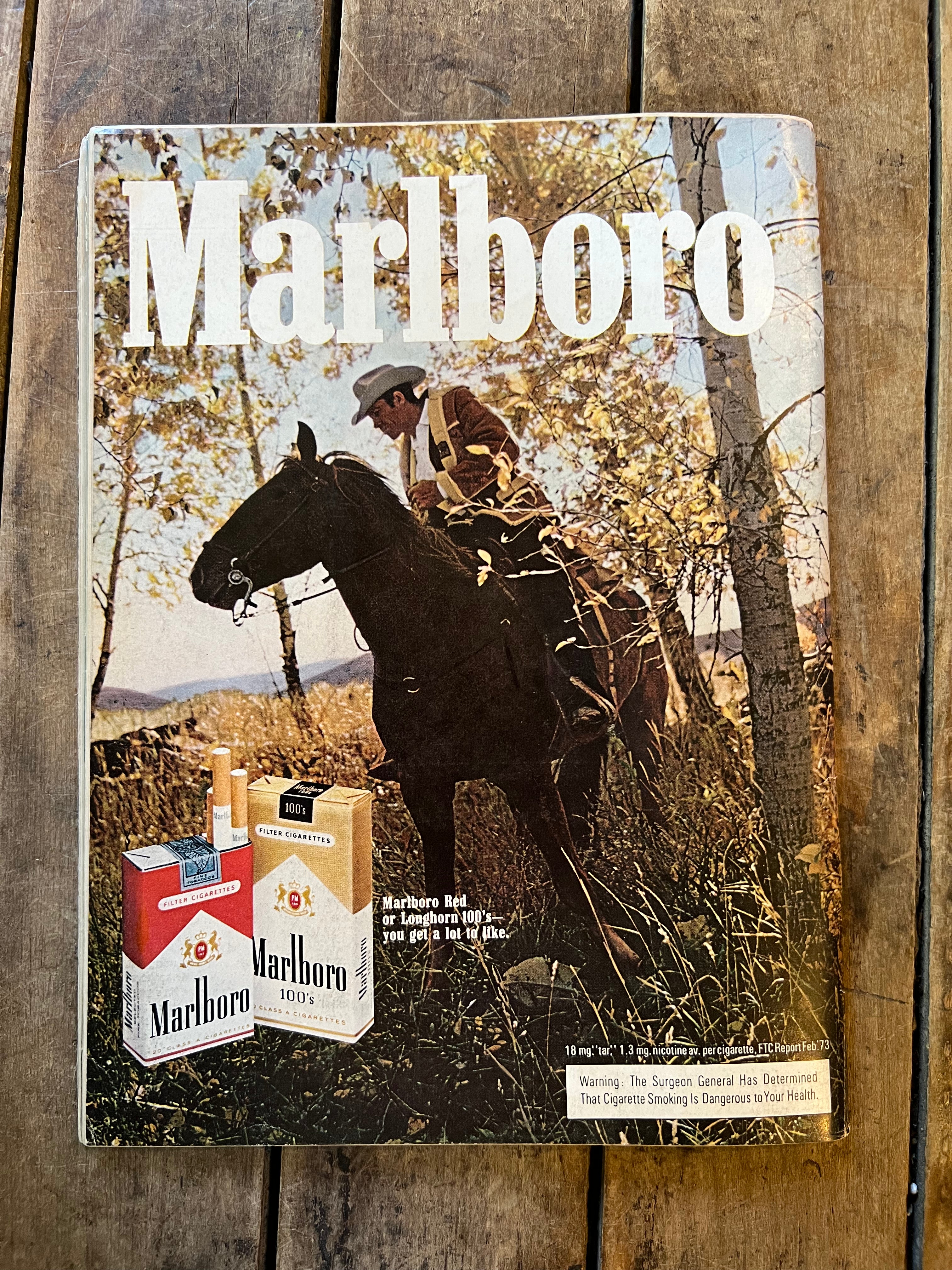 OUI Magazine “ For The Man of The World ”  October 1973 Issue