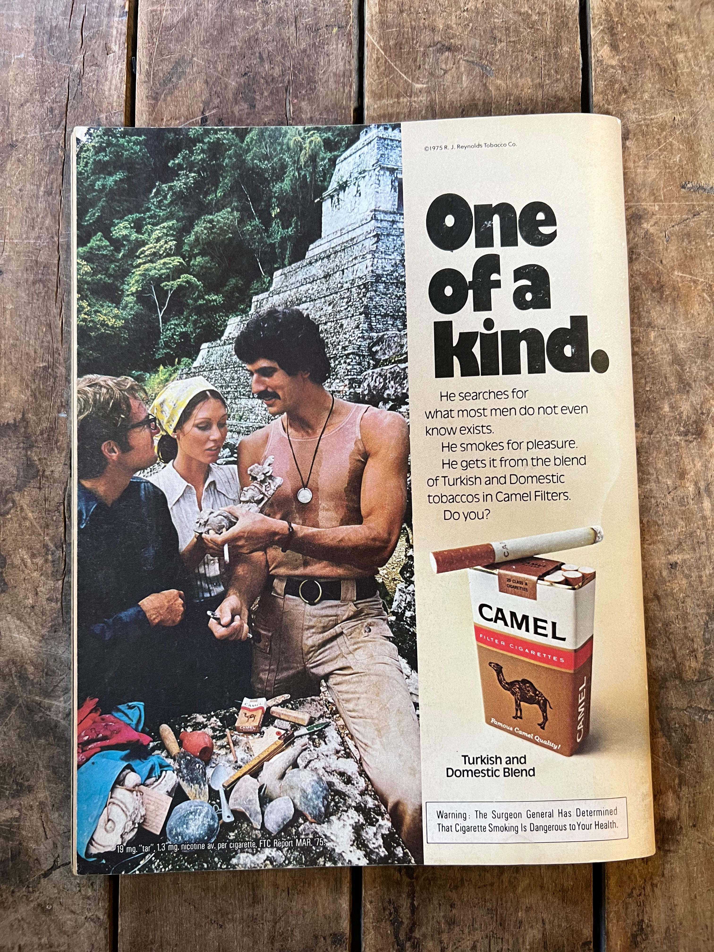 OUI Magazine “ For The Man of The World ” - February 1976 Issue
