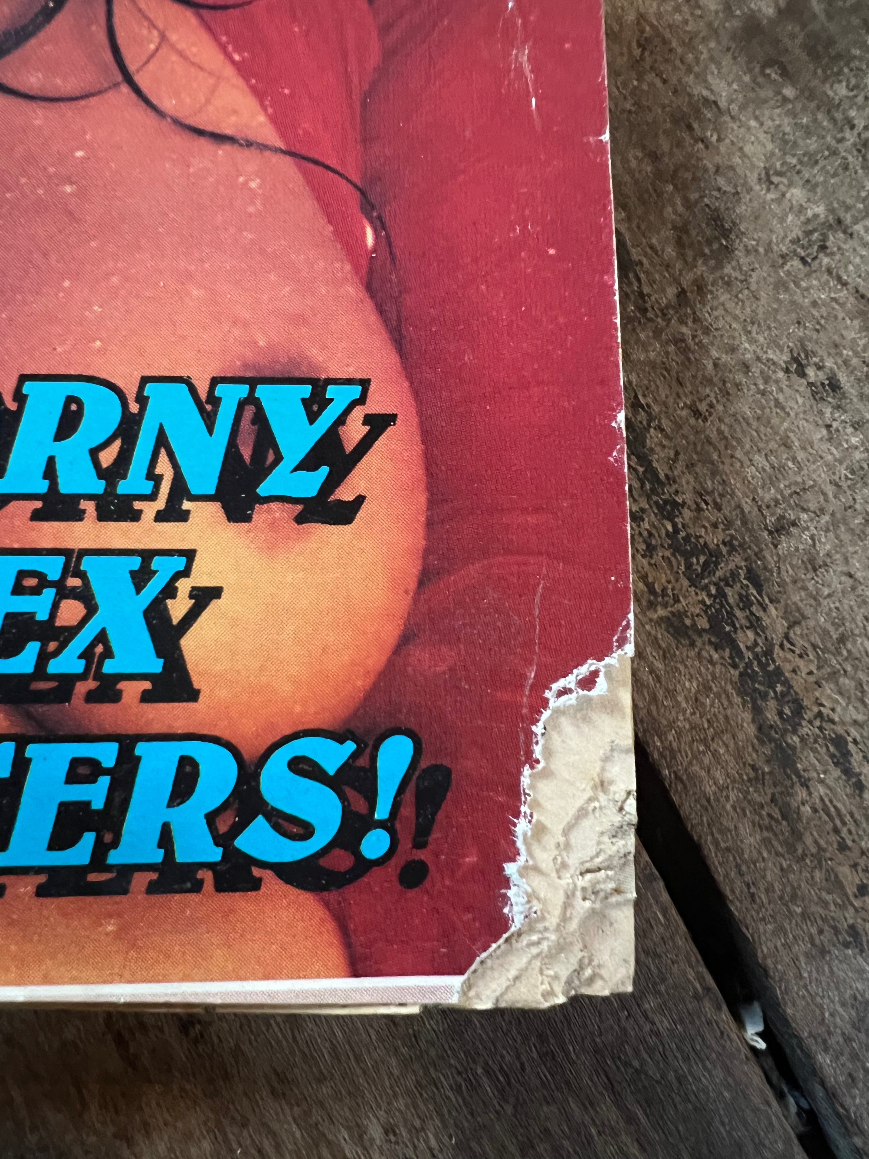 HOUSEWIFE SEX MAIL Magazine - Winter 1992 Issue