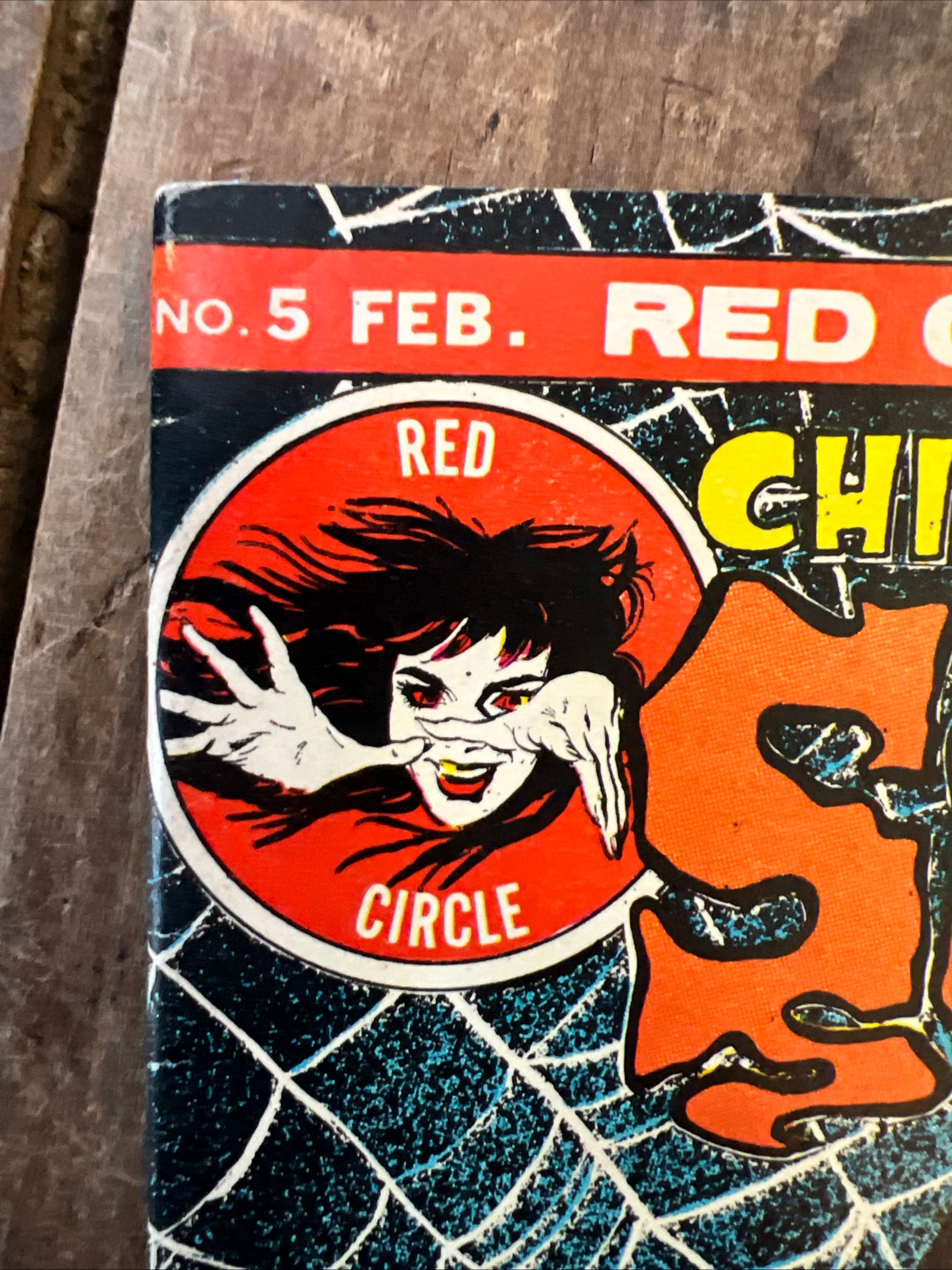 Chilling Adventures in Sorcery #5 (1974) Archie Comics - Red Circle Comics Group