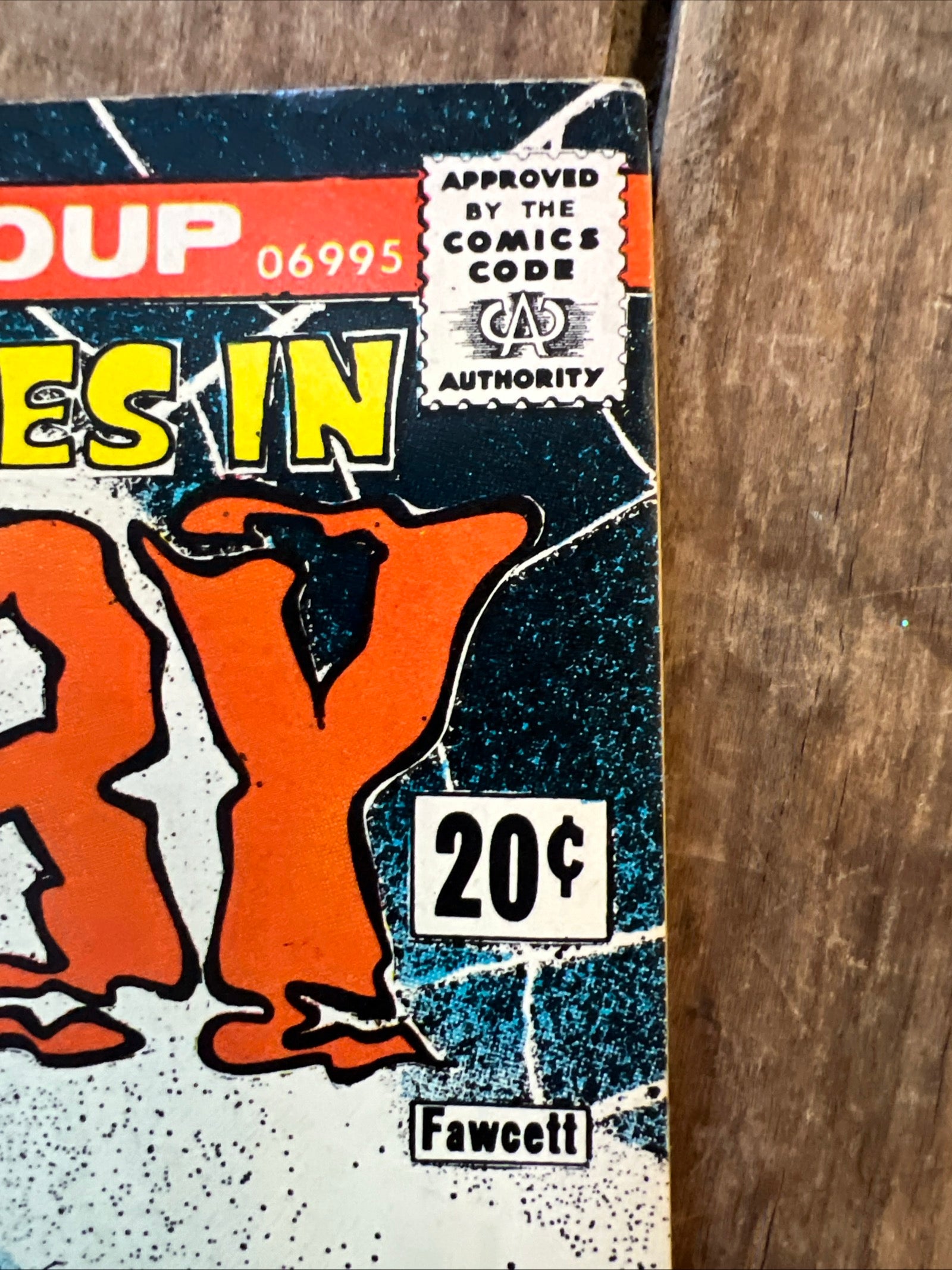 Chilling Adventures in Sorcery #5 (1974) Archie Comics - Red Circle Comics Group