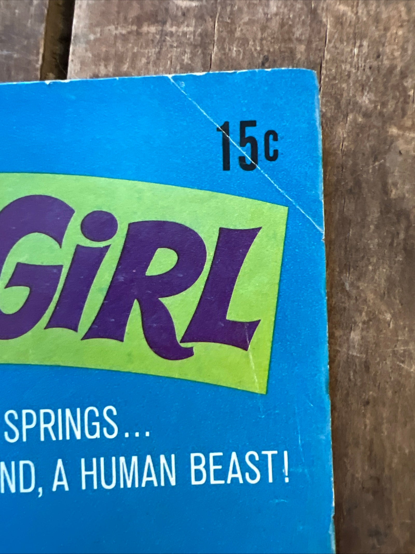 Tiger Girl #1 (1968) Gold Key Comics - Western Publishing Company Inc