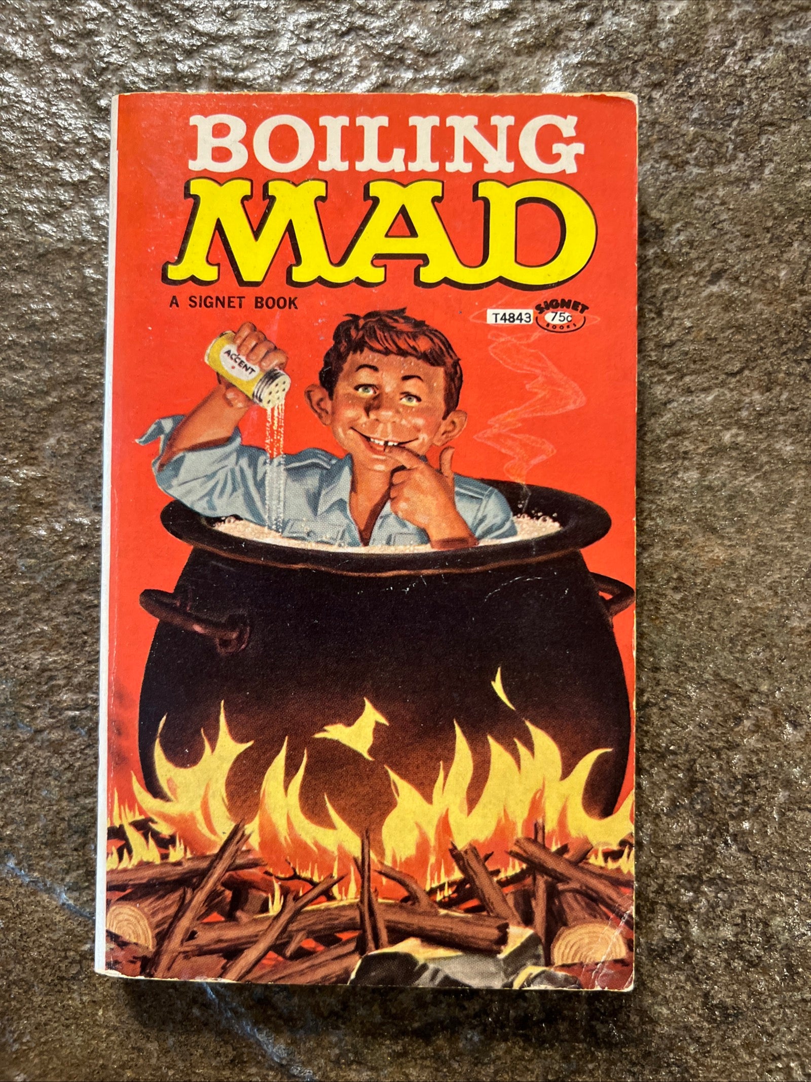 MAD MAGAZINE - BOILING MAD Paperback Book #4843 ( 1966 Signet Books )