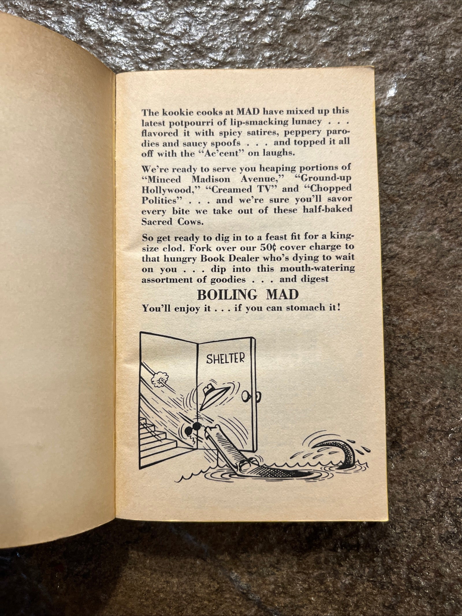 MAD MAGAZINE - BOILING MAD Paperback Book #4843 ( 1966 Signet Books )