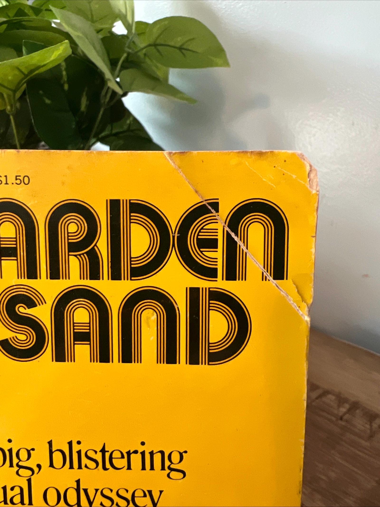 A Garden Of Sand by Earl Thompson ( 1972 Signet Books Paperback) Romance Novel