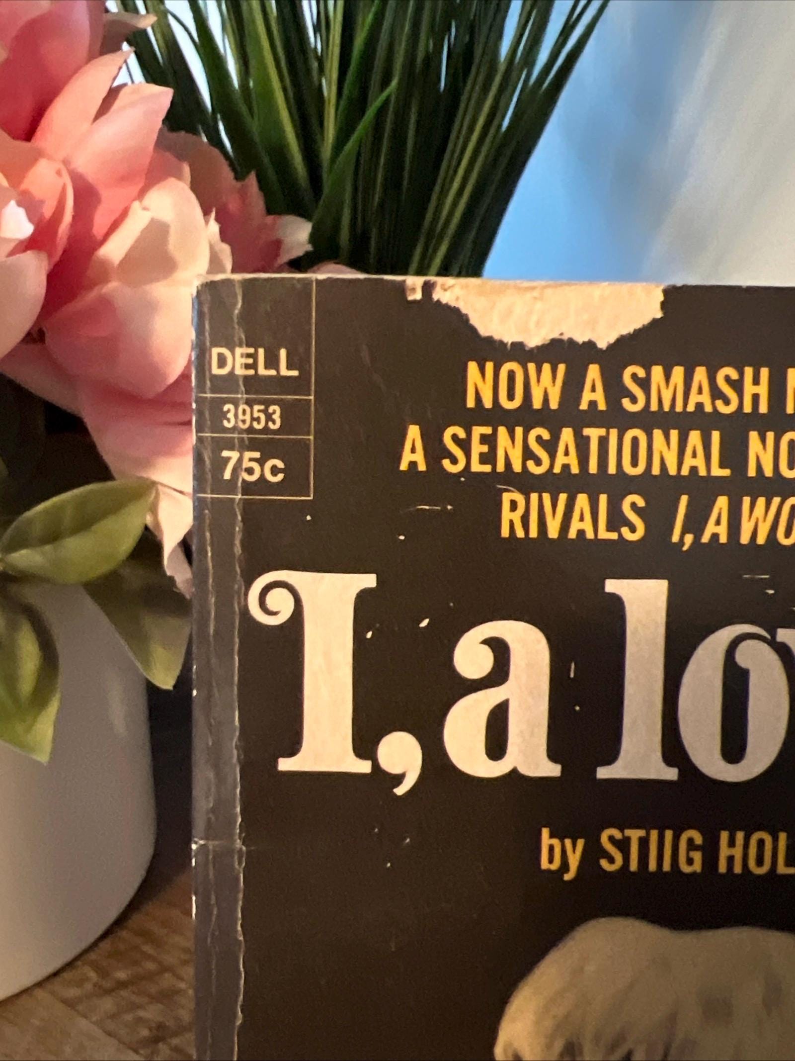 I, a Lover by Stiig Holm ( 1965 Dell Paperback ) Romance Novel