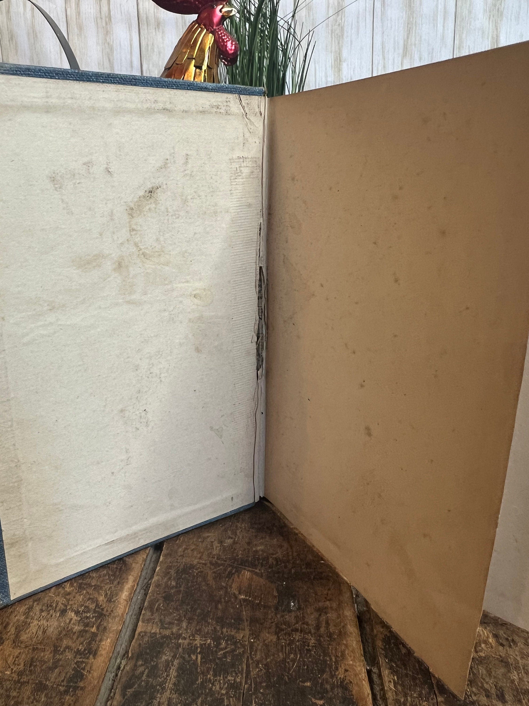 Old Mam’Selle’s Secret Hardcover Book by E. Marlitt (1896)